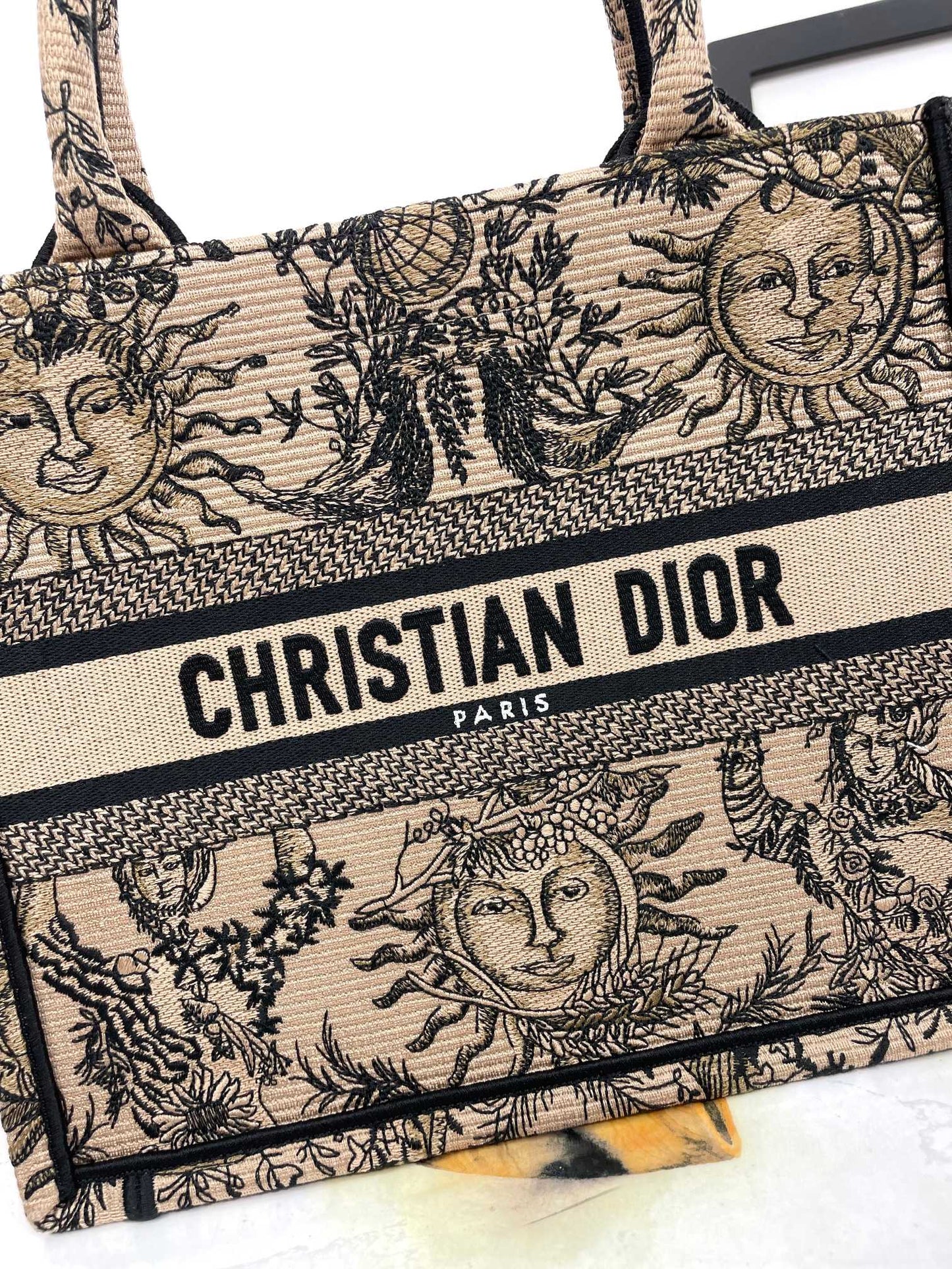 Christian Dior Book Tote Canvas Bag with Celestial Sun Motif