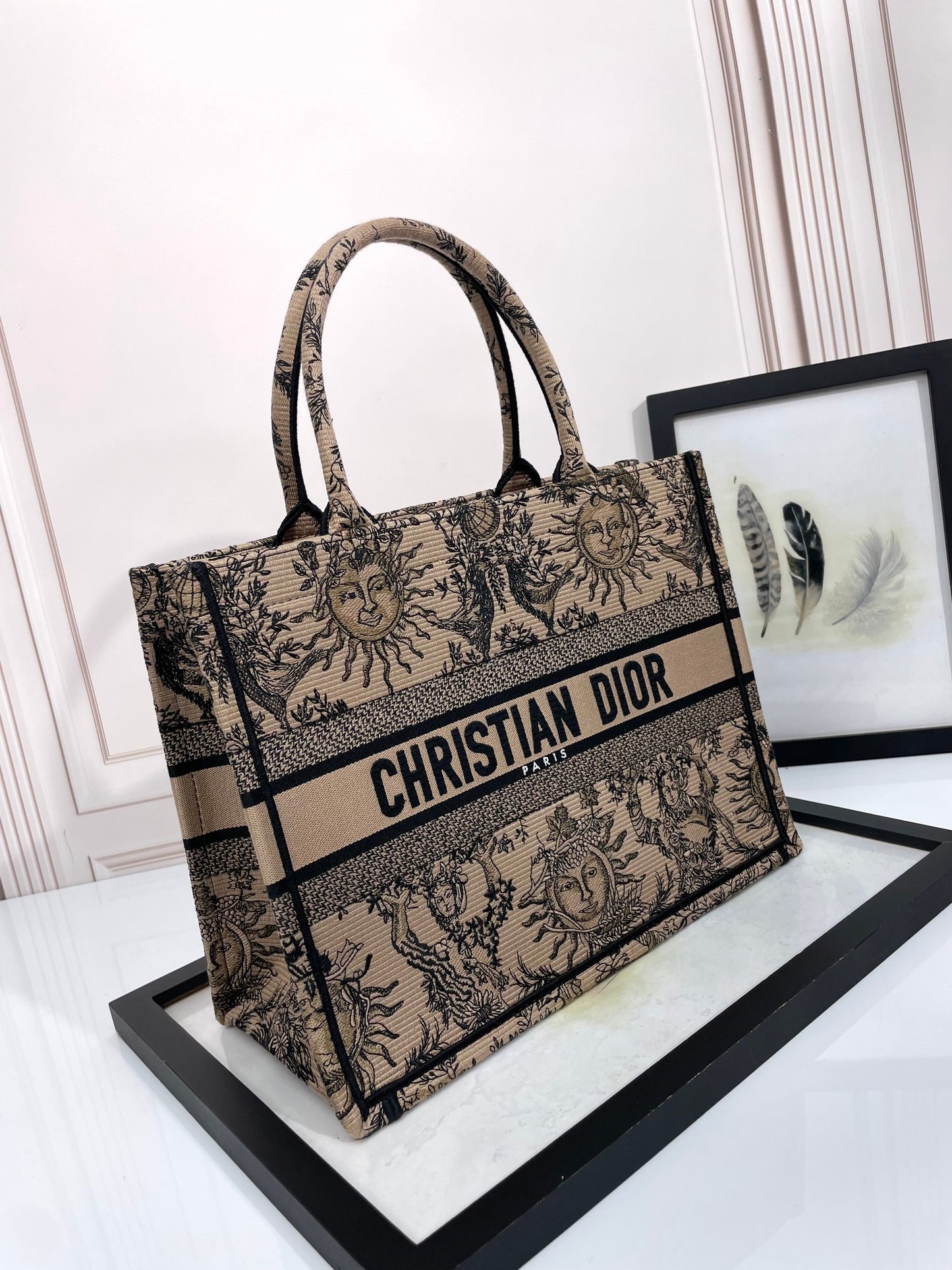 Christian Dior Medium Book Tote Bag with Celestial Sun Embroidery