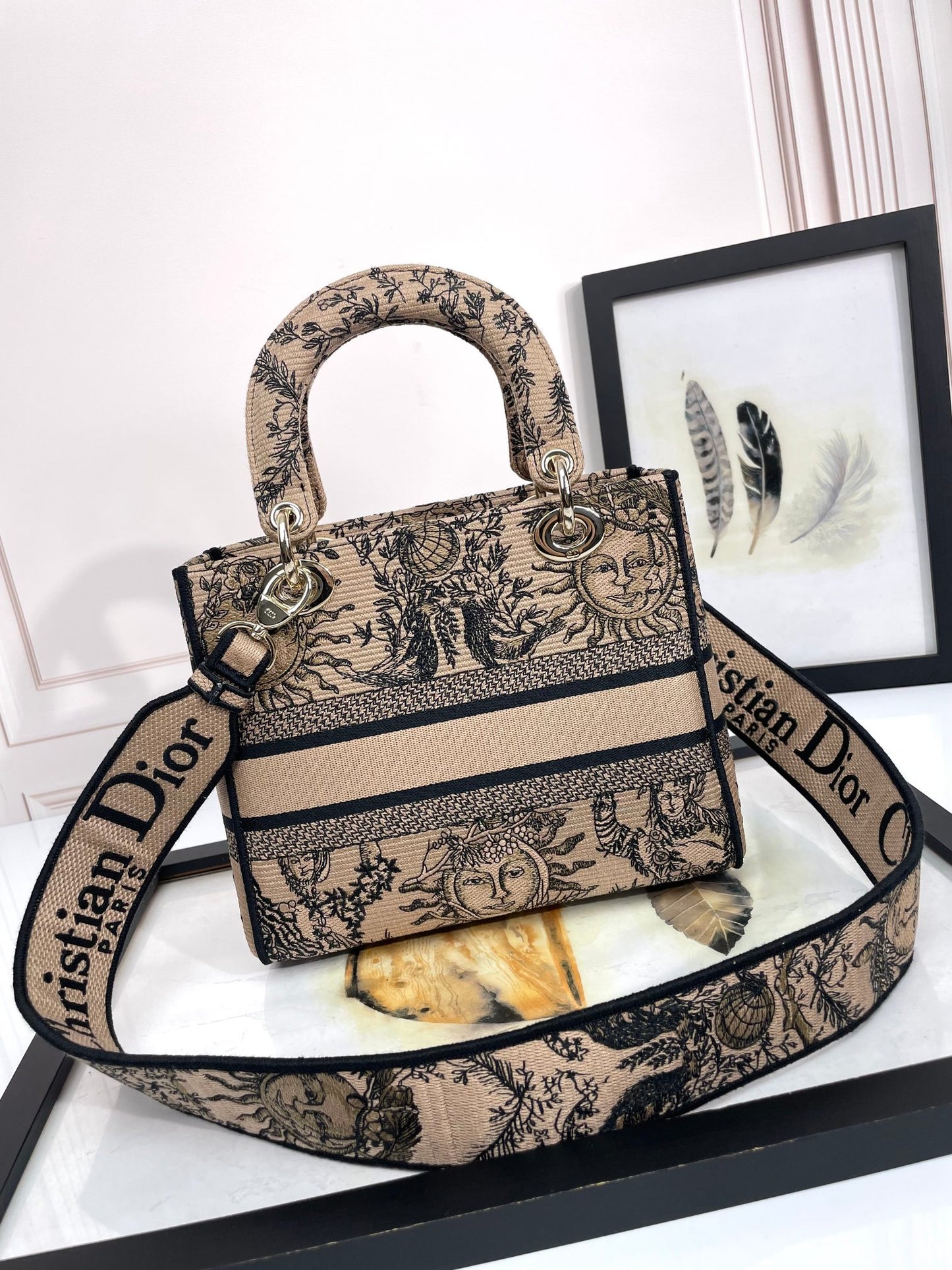 Christian Dior Medium Lady D-Lite Bag - Beige Embroidered Canvas with Constellation Print