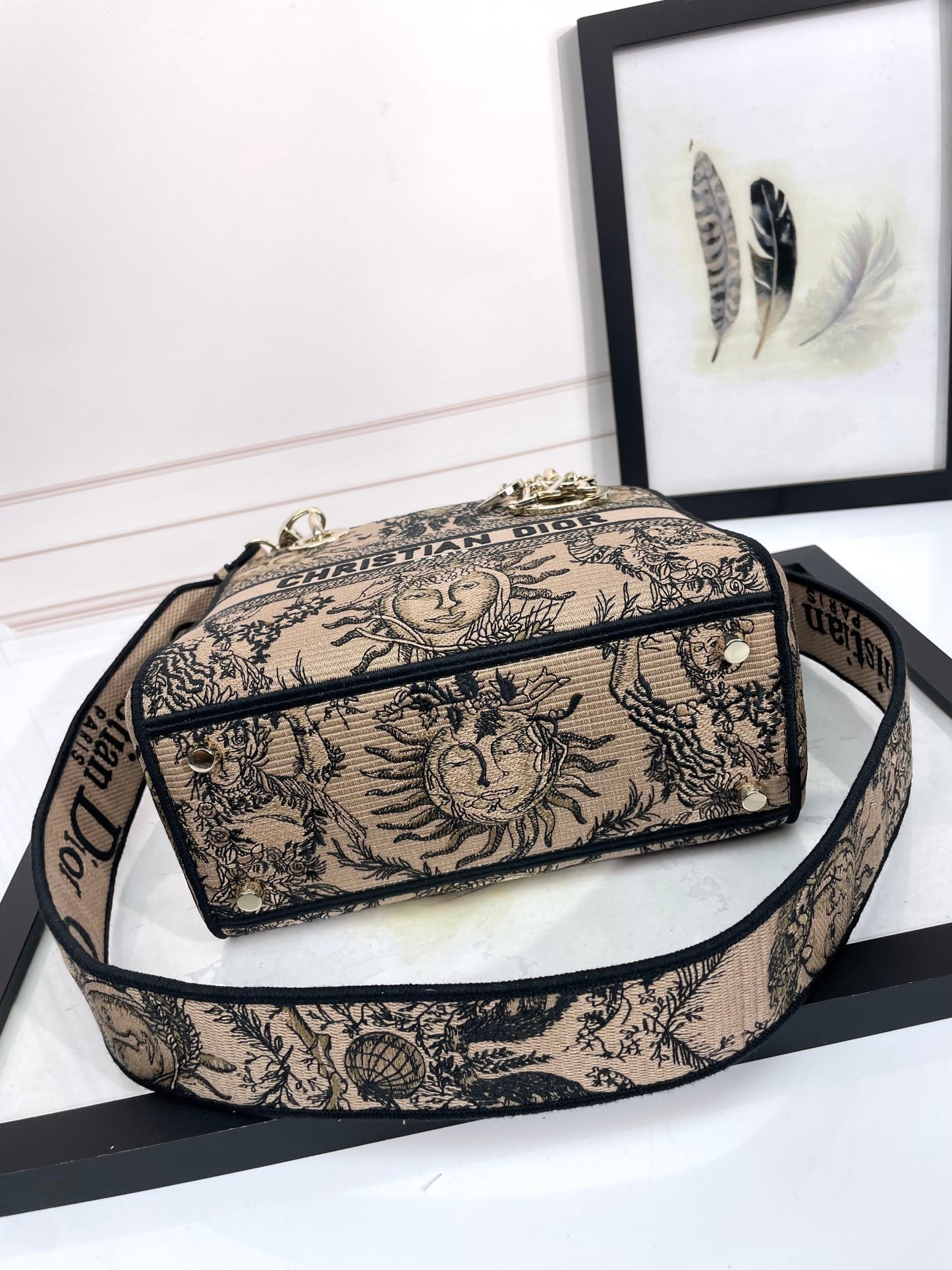 Christian Dior Medium Lady D-Lite Bag - Beige Embroidered Canvas with Constellation Print