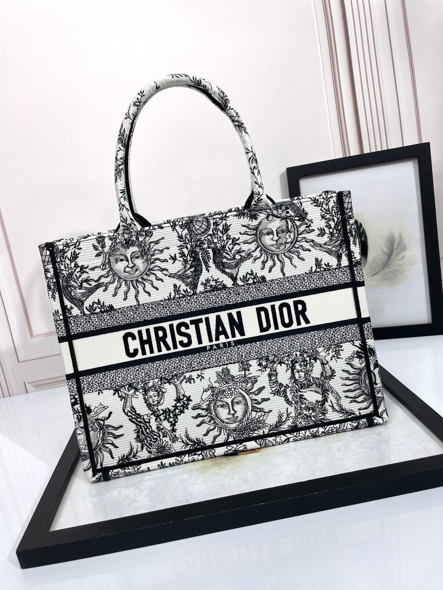 Christian Dior Medium Dior Book Tote - White and Black Zodiac Embroidery