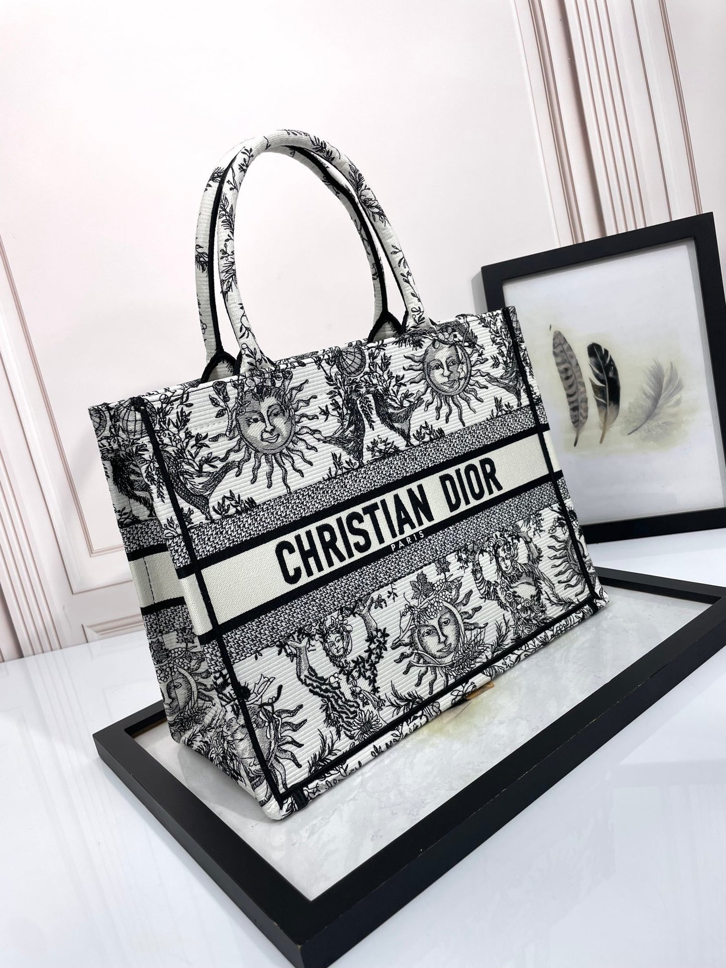 Christian Dior Medium Book Tote Bag - Black and White Sun Embroidered Canvas