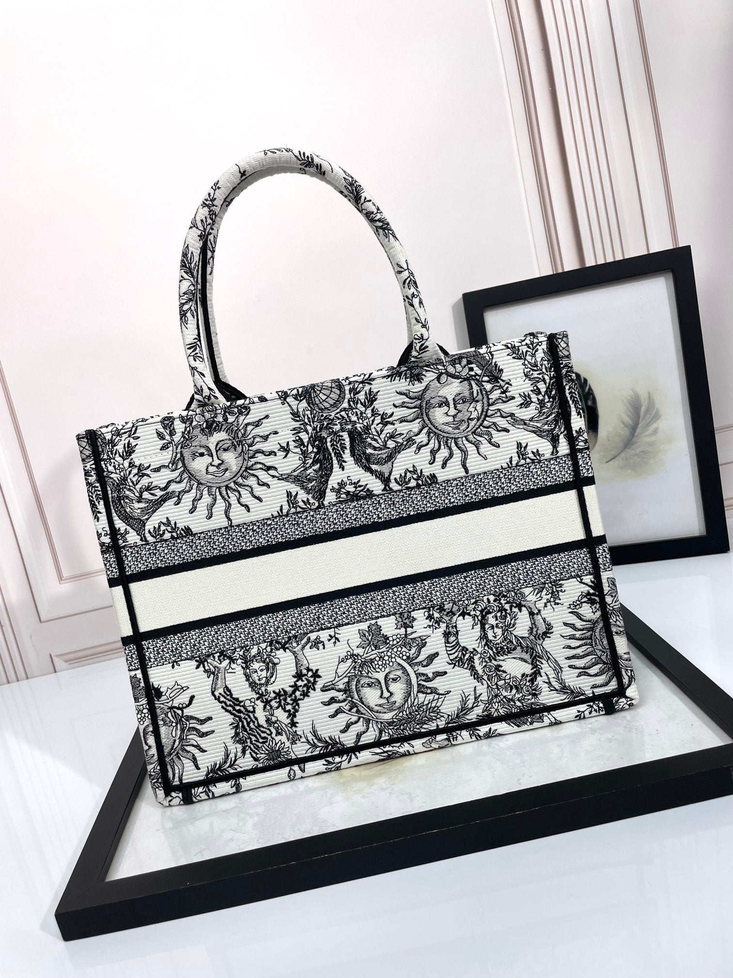 Christian Dior Medium Book Tote Bag - Black and White Sun Embroidered Canvas