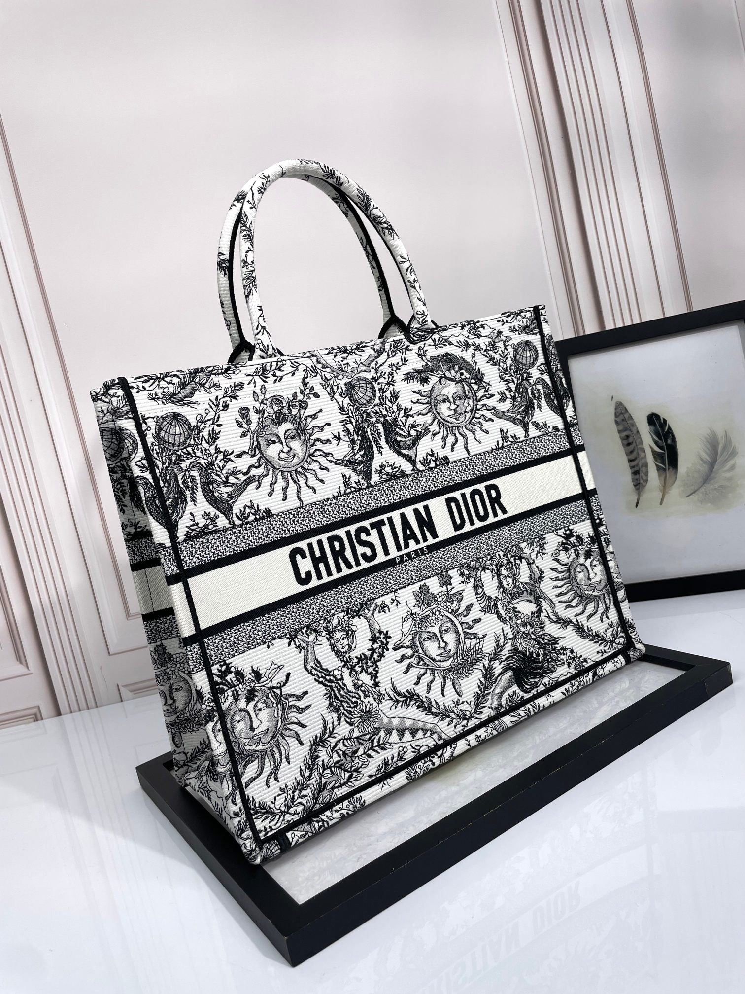 Dior Celestial Sun Embroidered Canvas Tote Bag with Top Handles