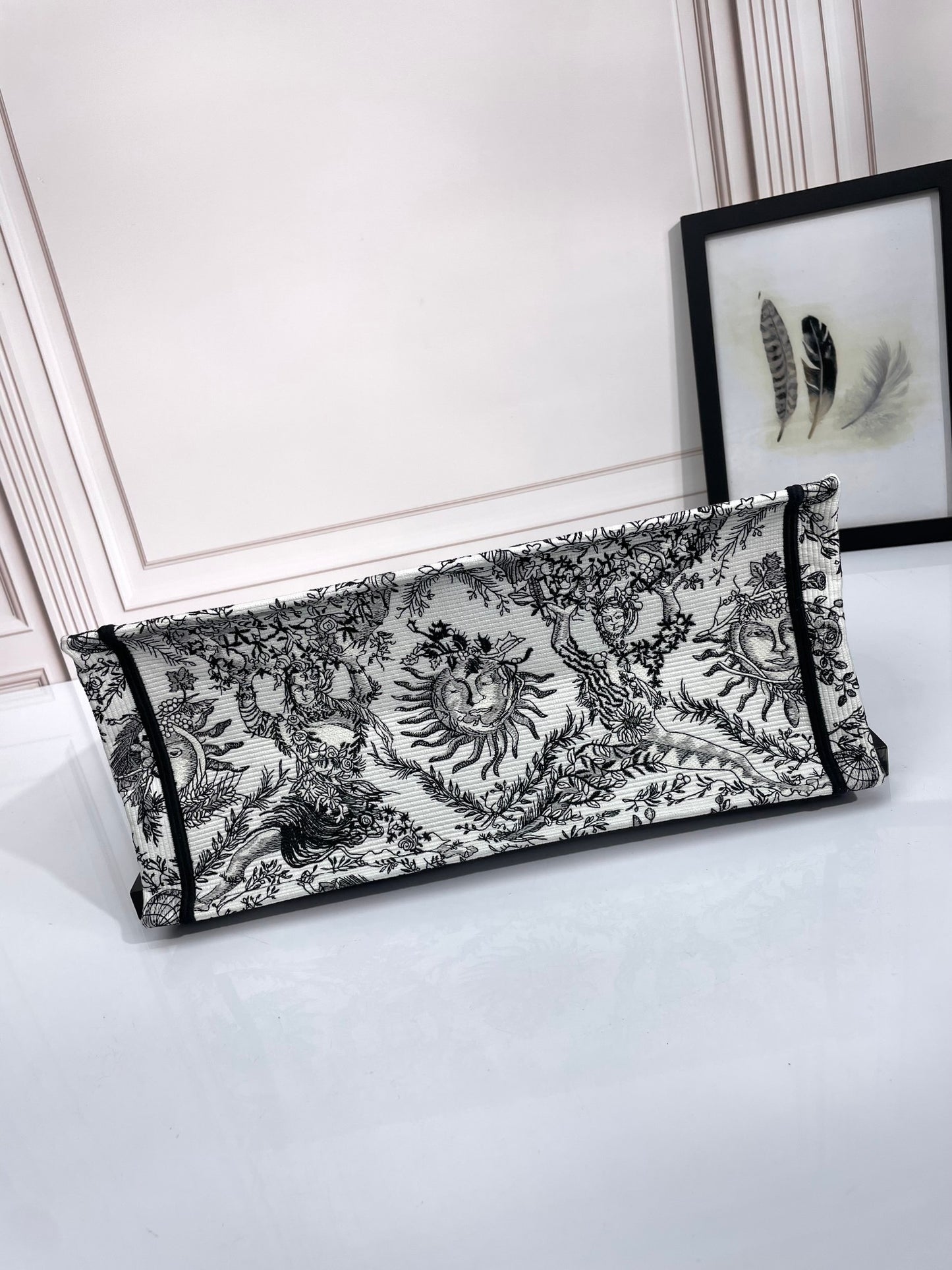 Christian Dior Medium Book Tote - Black and White Toile de Jouy Soleil Canvas