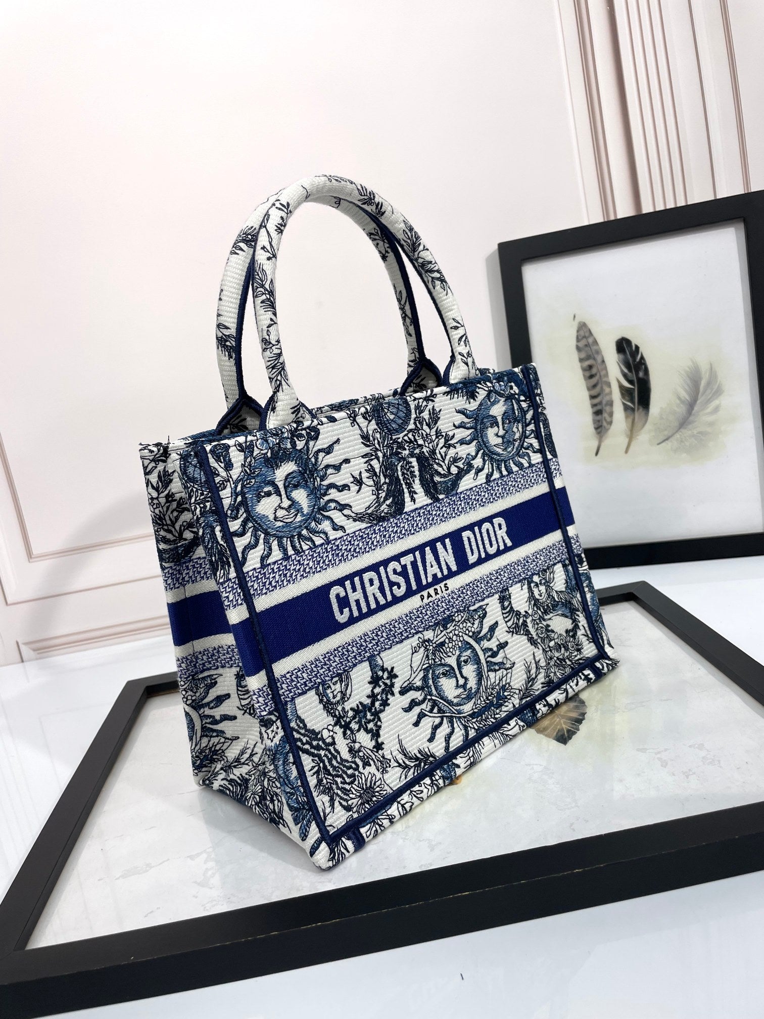 Christian Dior Blue & White Celestial Sun Embroidery Book Tote Bag
