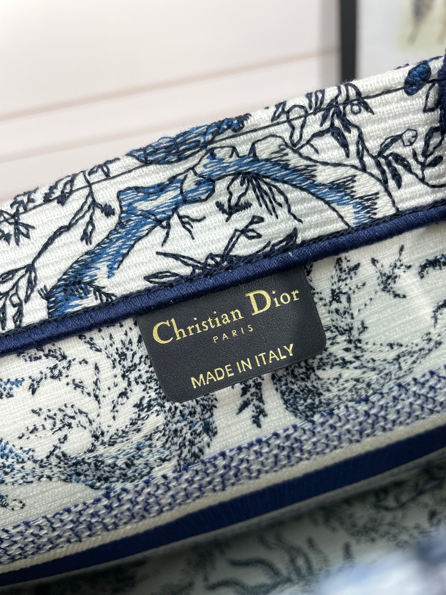 Christian Dior Blue & White Celestial Sun Embroidery Book Tote Bag
