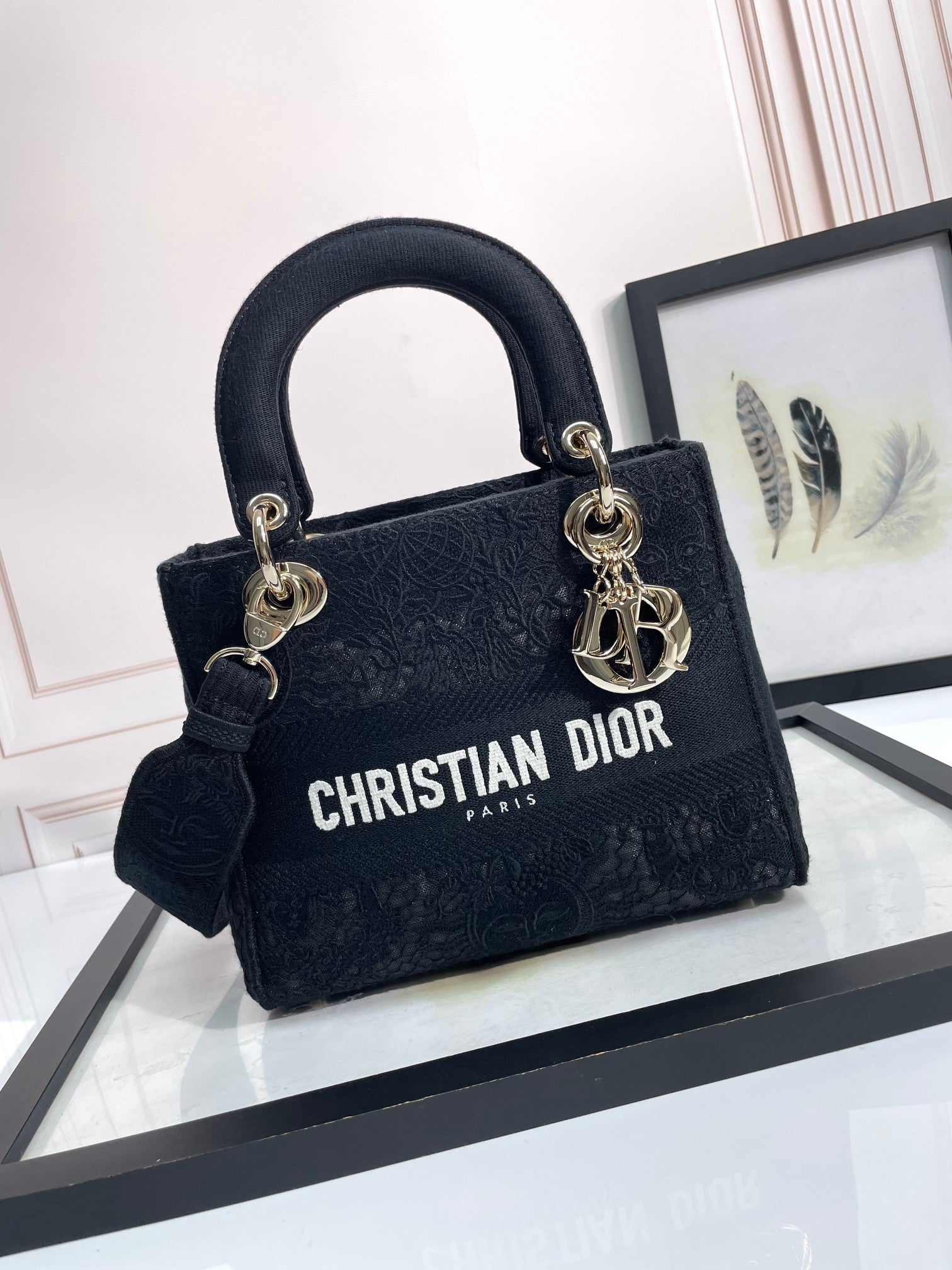 Christian Dior Medium Lady D-Lite Bag in Black Embroidered Canvas