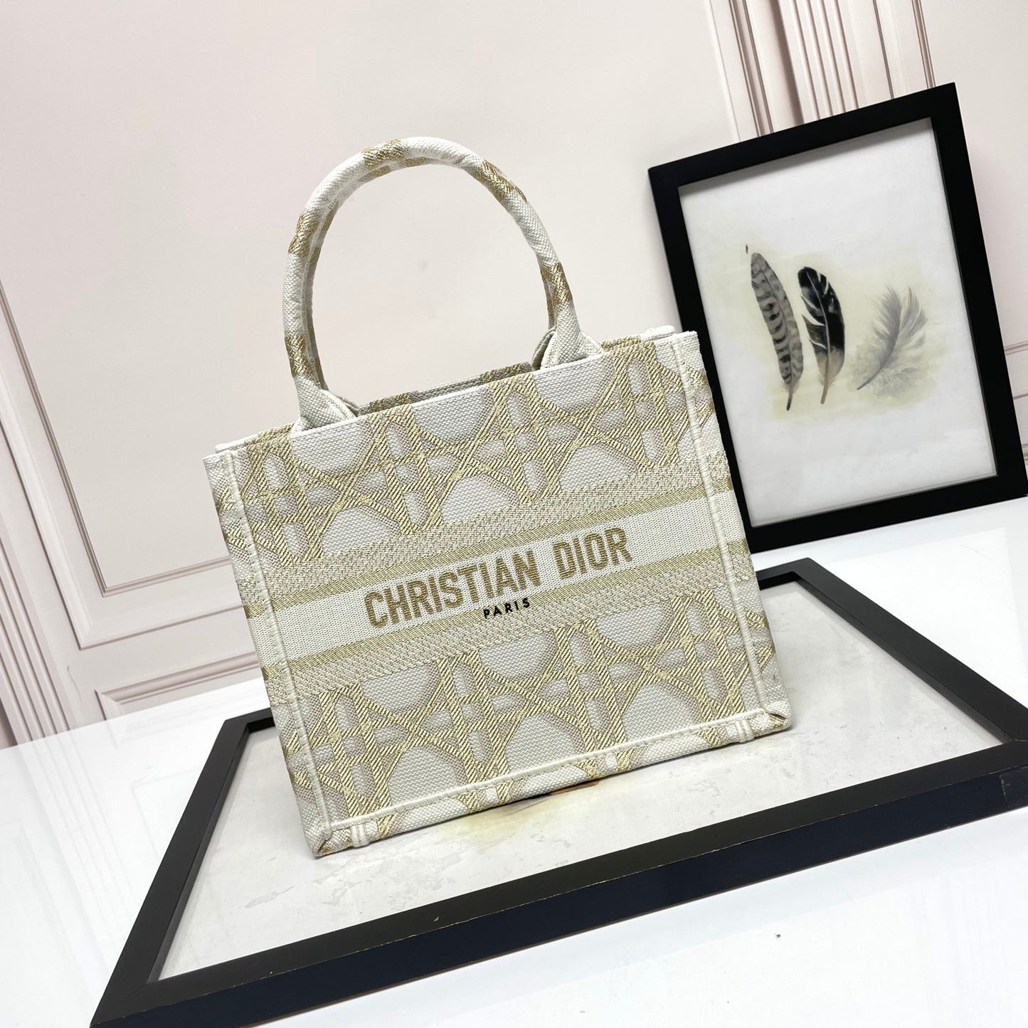 Christian Dior Small Book Tote - White and Gold-Tone Plan de Paris Embroidered Canvas Bag