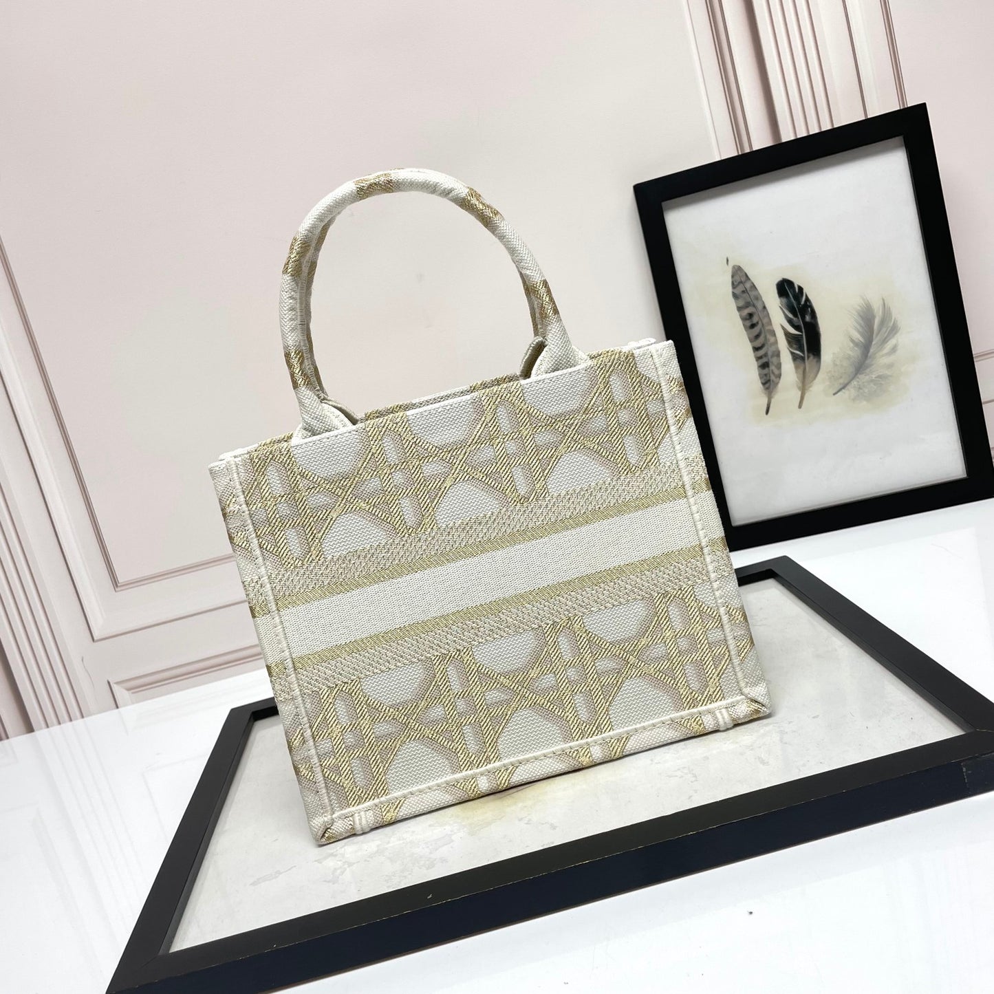 Christian Dior Book Tote Bag - Gold and Beige Plan de Paris Embroidery