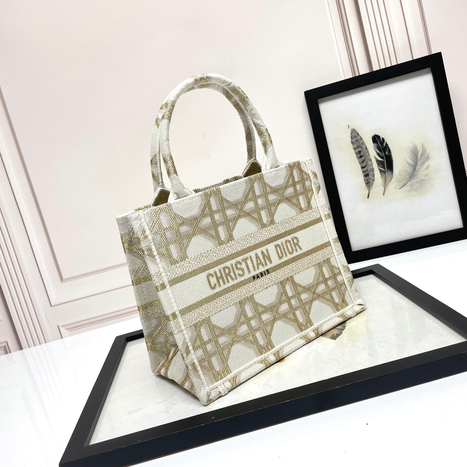 Christian Dior Small Book Tote - White and Gold-Tone Plan de Paris Embroidered Canvas Bag