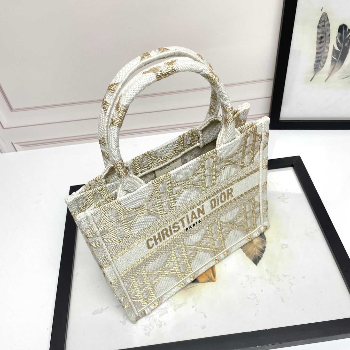 Christian Dior Book Tote Bag - Gold and Beige Plan de Paris Embroidery