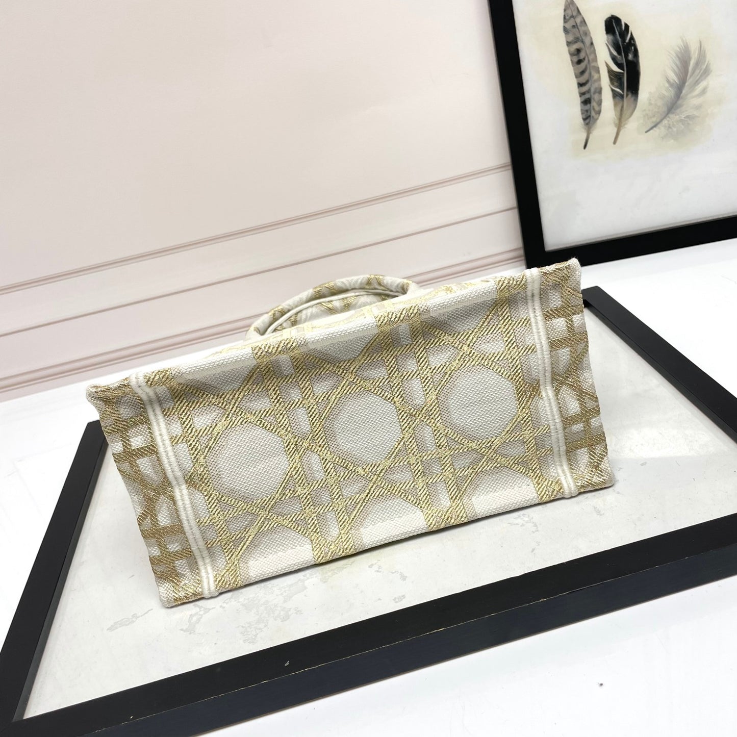 Christian Dior Book Tote Bag - Gold and Beige Plan de Paris Embroidery