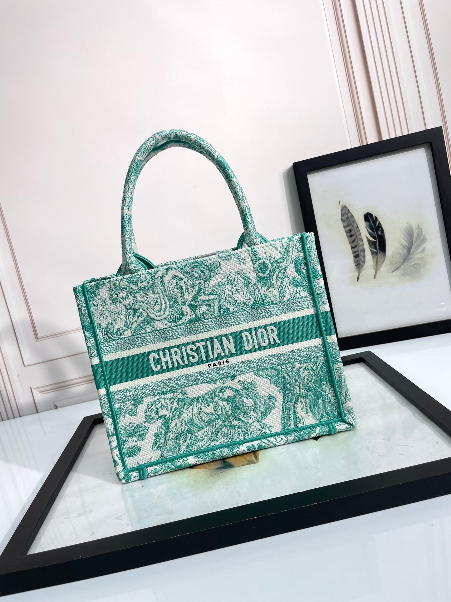 Christian Dior Book Tote Bag - Green and White Toile de Jouy Embroidered Canvas