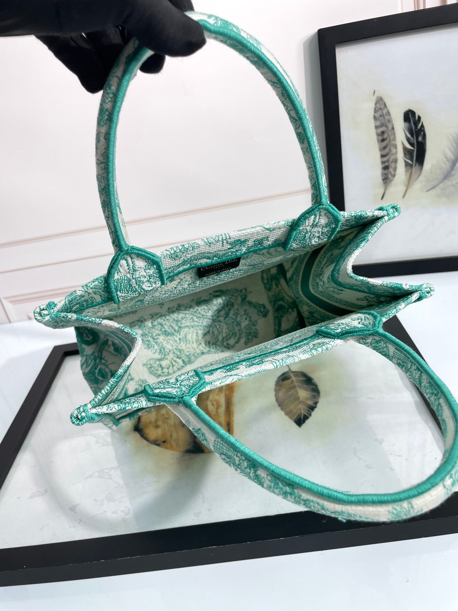 Christian Dior Medium Book Tote Green Toile de Jouy Embroidery