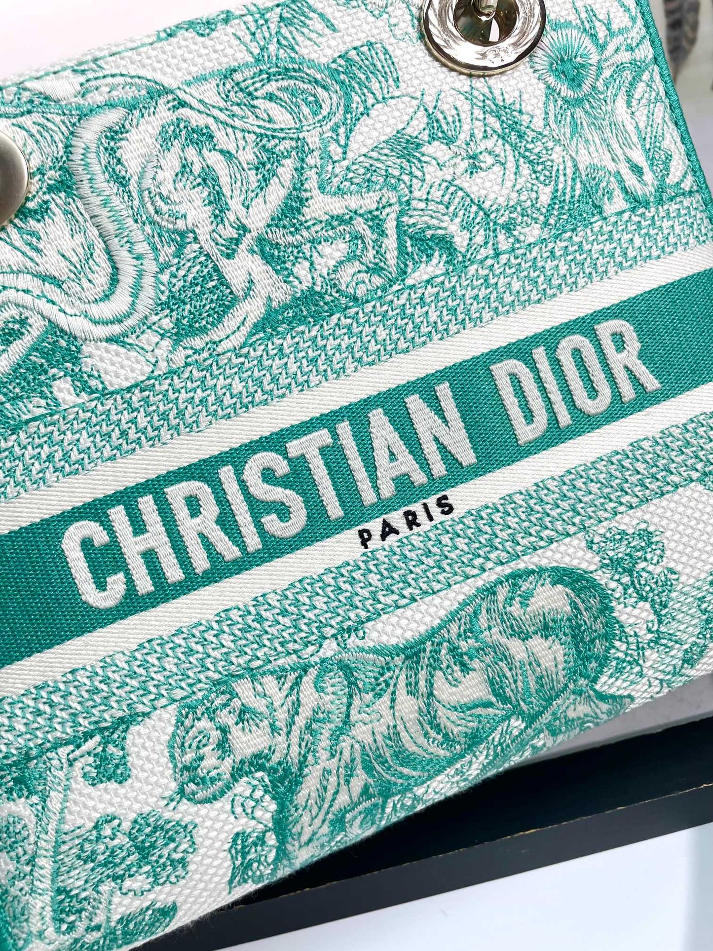 Christian Dior Medium Lady D-Lite Bag - Green Toile de Jouy Reverse Embroidery