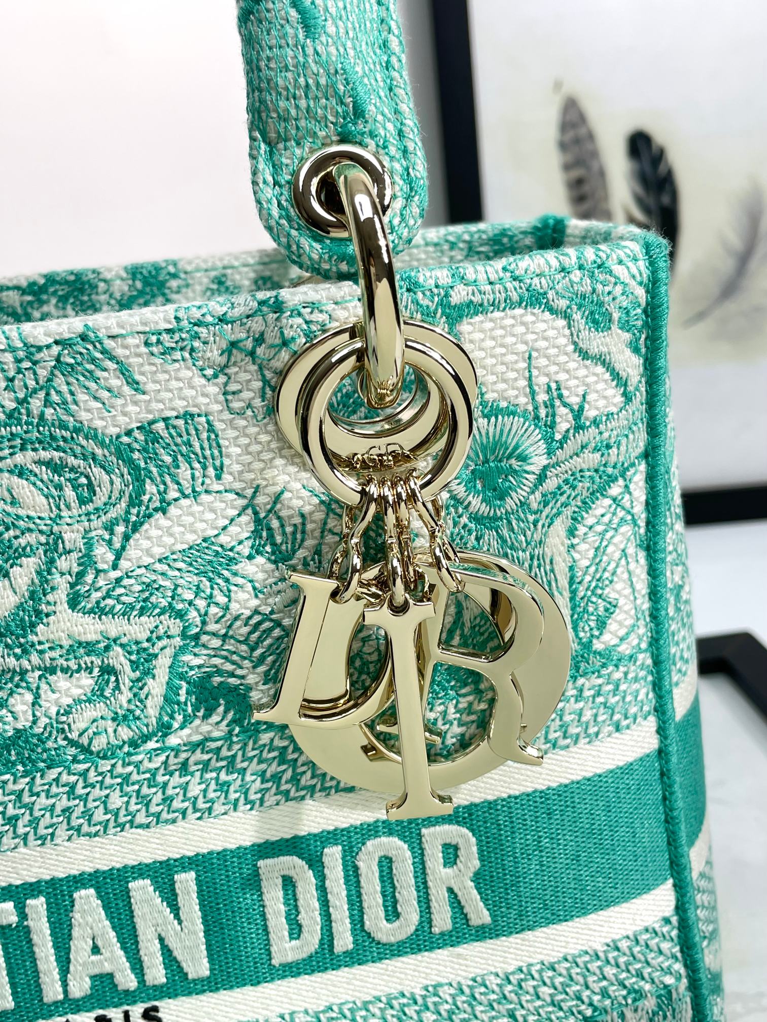 Christian Dior Medium Lady D-Lite Bag - Green Toile de Jouy Reverse Embroidery