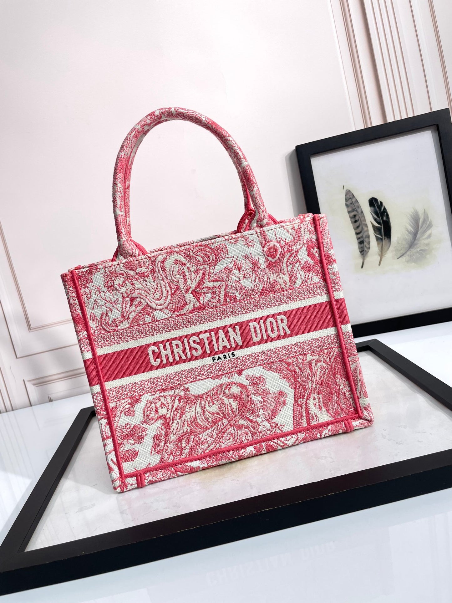 Christian Dior Small Dior Book Tote - Red Toile de Jouy Reverse Embroidery