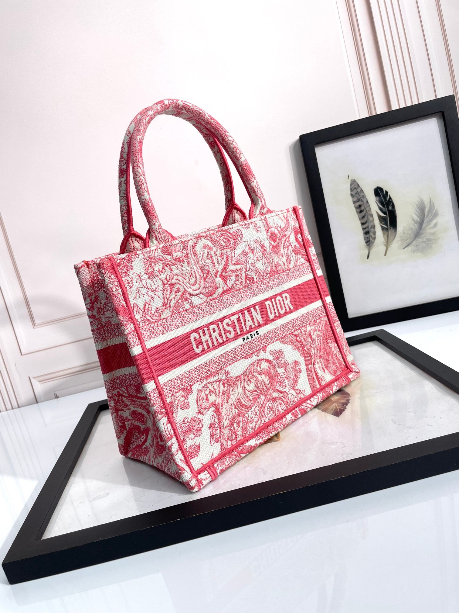 Christian Dior Book Tote Bag Toile de Jouy Red Embroidered Canvas
