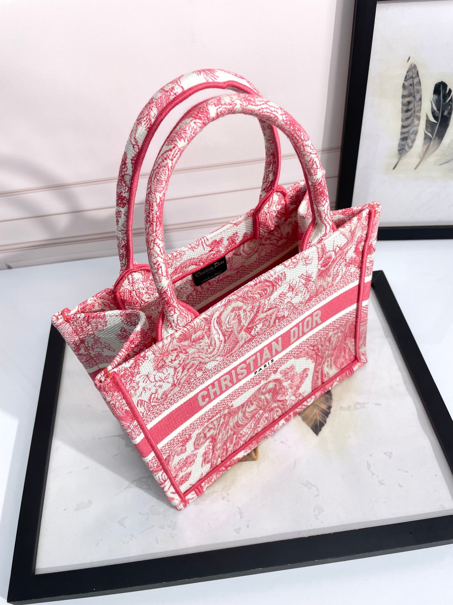 Christian Dior Pink Toile de Jouy Reverse Embroidered Book Tote Bag