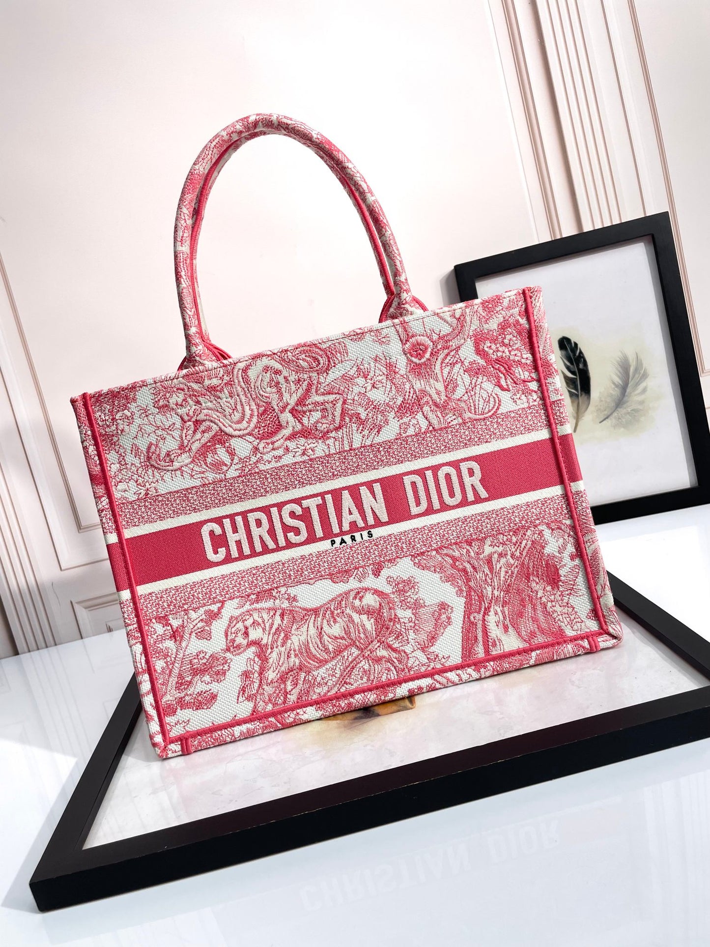 Christian Dior Large Book Tote Bag in Red Toile de Jouy Embroidery