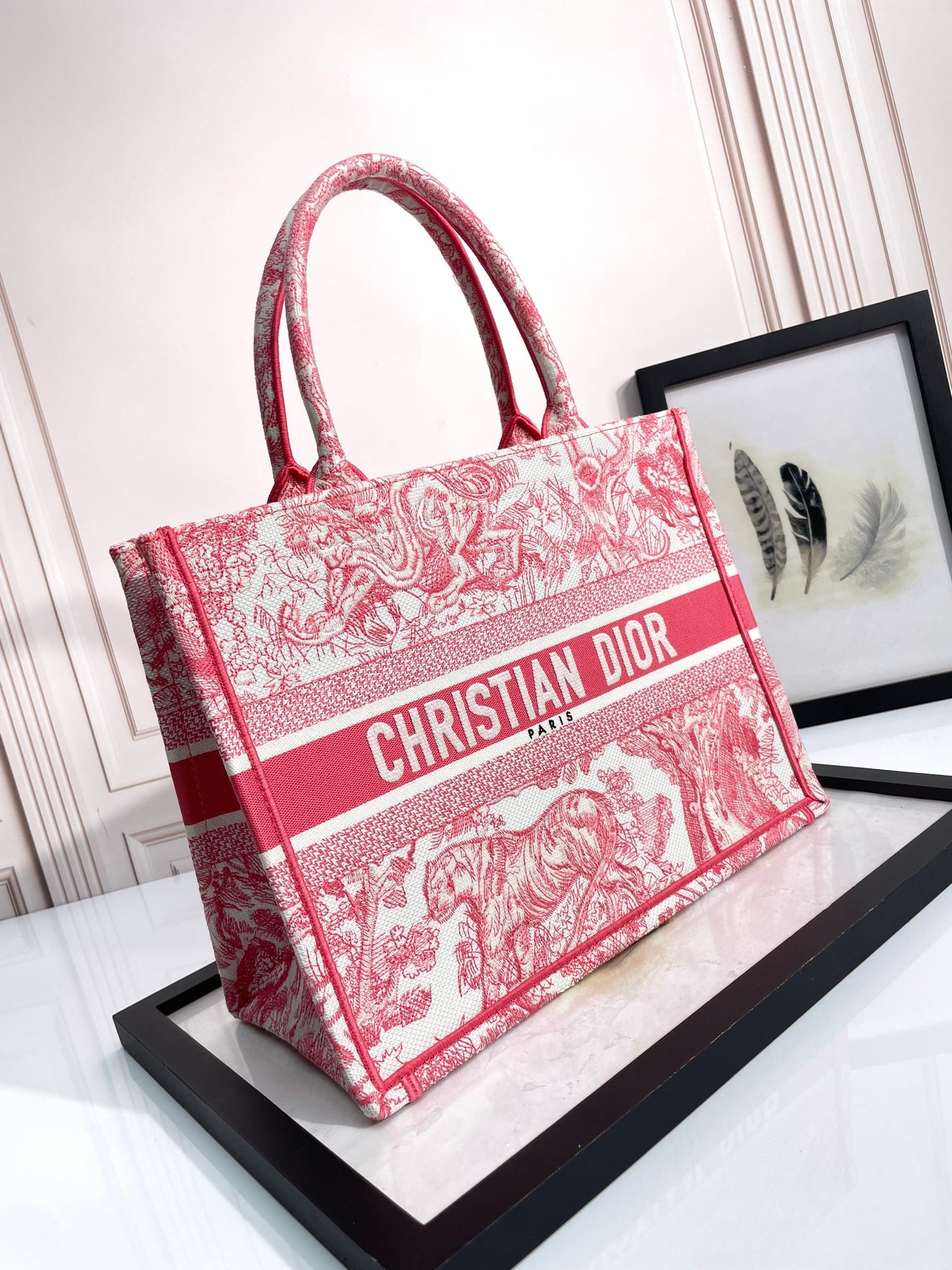 Christian Dior Large Book Tote Bag in Red Toile de Jouy Embroidery