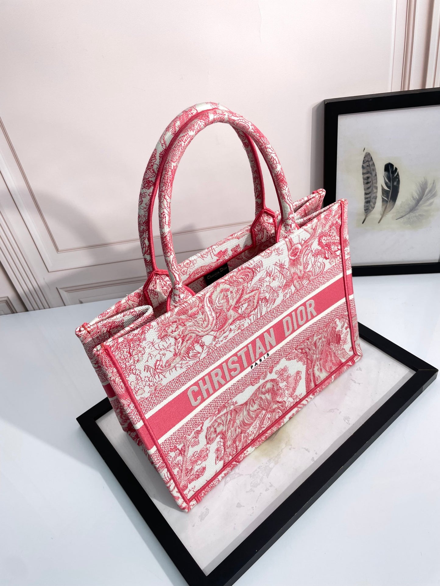 Christian Dior Large Book Tote Bag in Red Toile de Jouy Embroidery