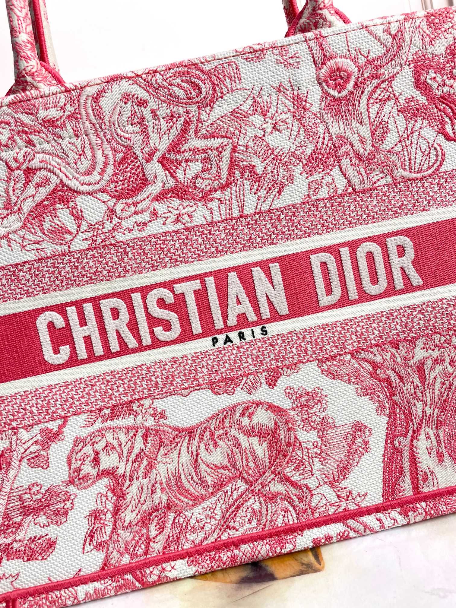 Christian Dior Medium Book Tote - Red Toile de Jouy Embroidery