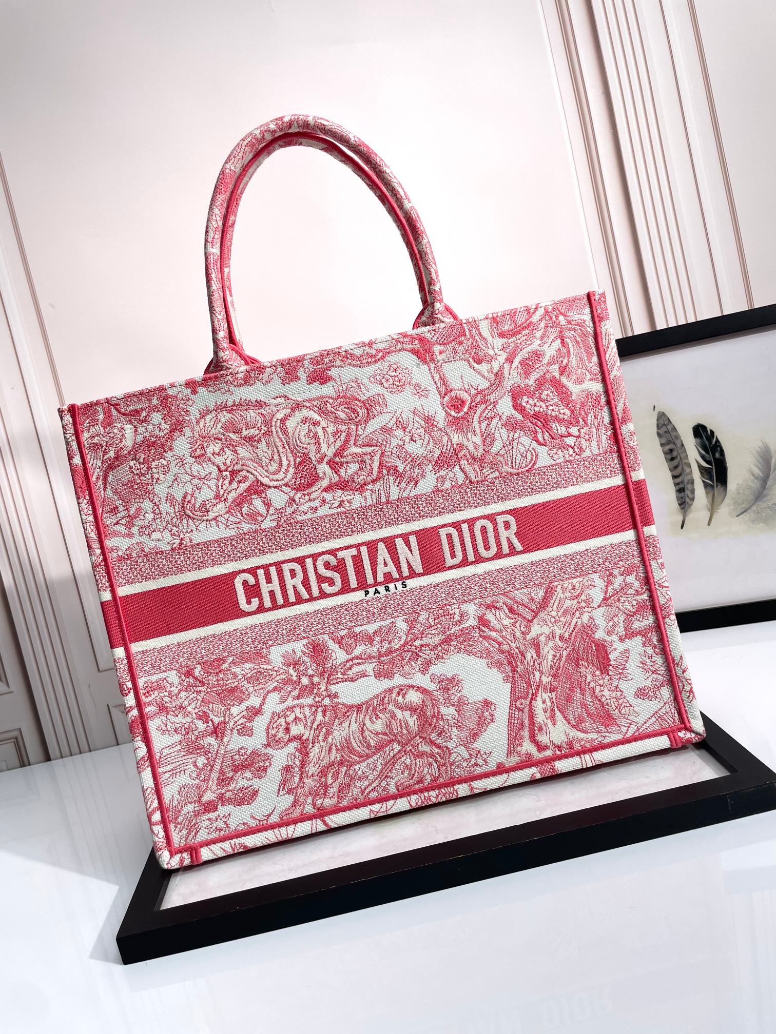 Christian Dior Large Book Tote - Red Toile de Jouy Embroidery