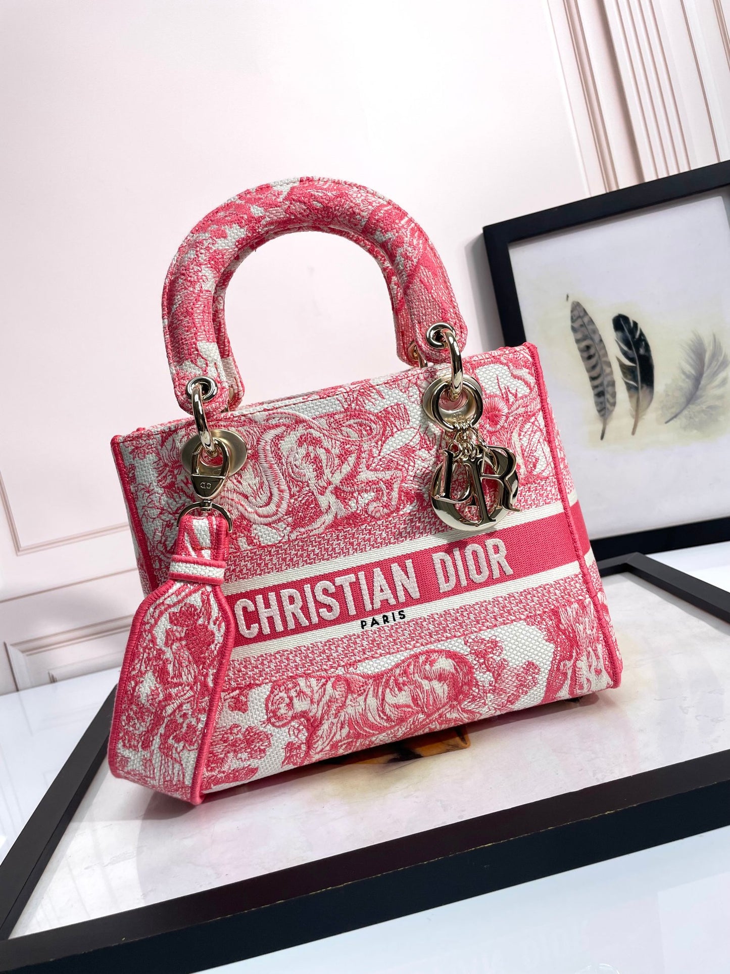 Christian Dior Lady D-Lite Bag Pink Toile de Jouy Embroidery