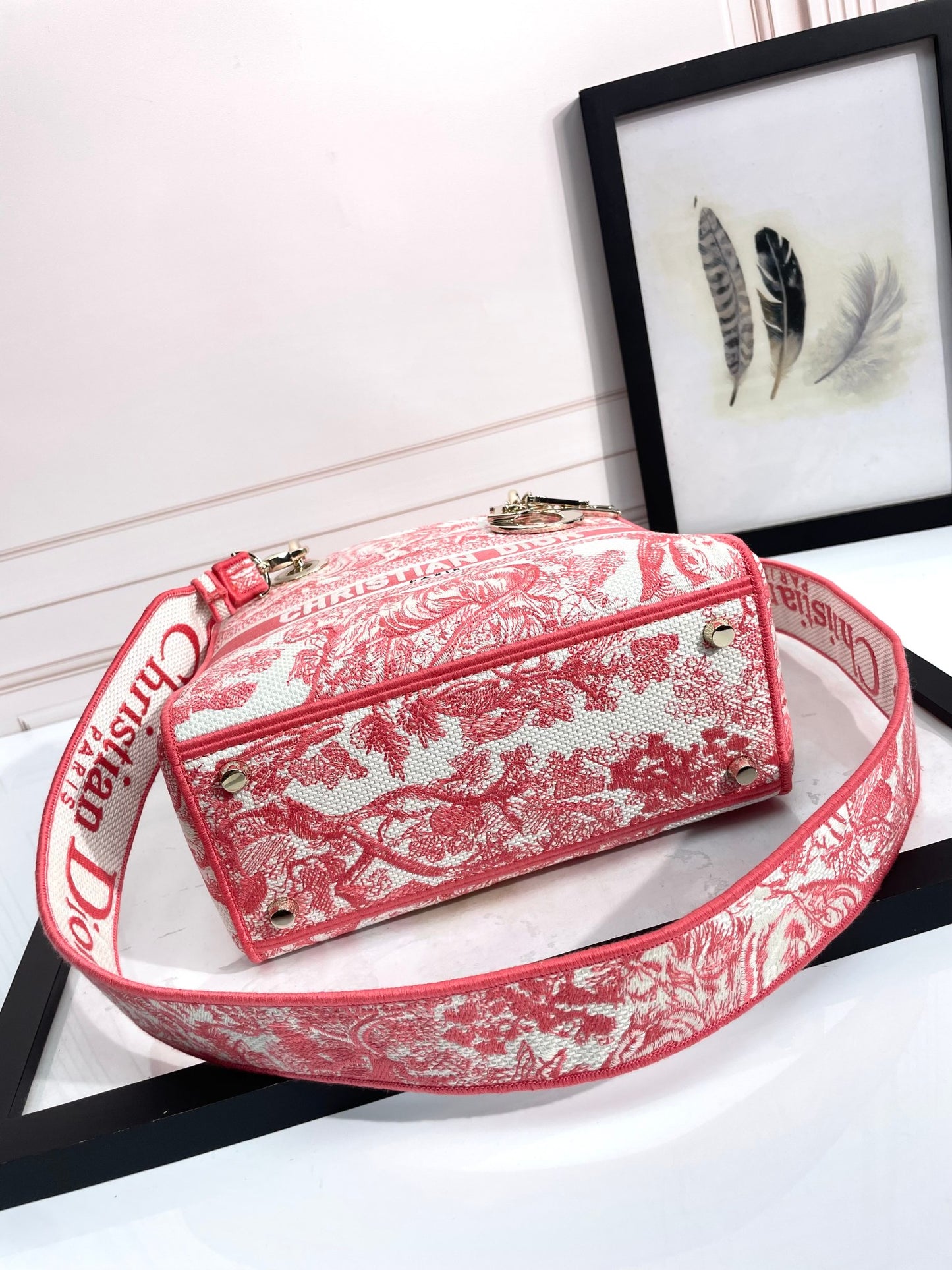 Christian Dior Lady D-Lite Bag Pink Toile de Jouy Embroidery