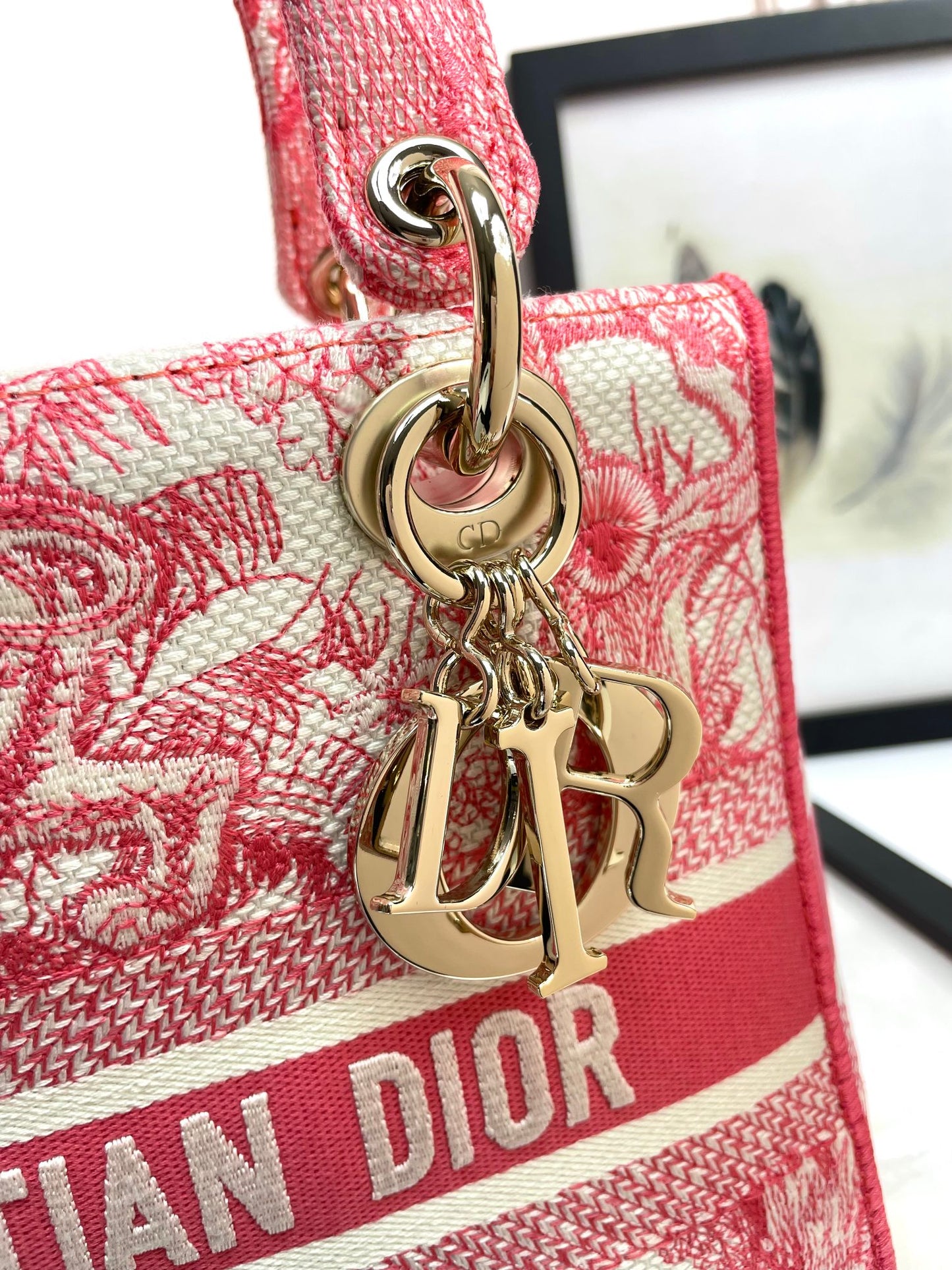 Christian Dior Medium Lady D-Lite Bag Pink Toile de Jouy Reverse Embroidery