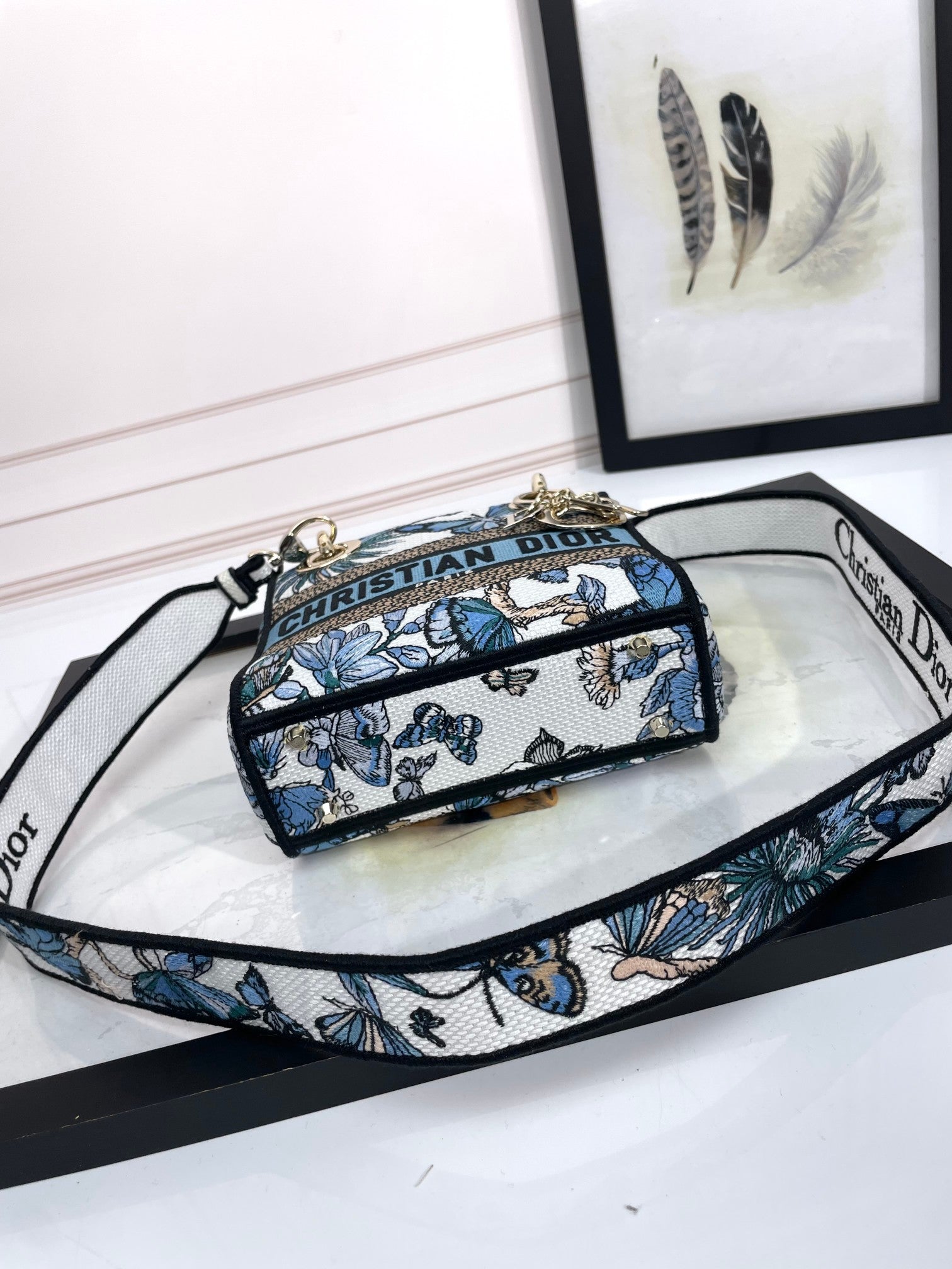 Christian Dior Lady D-Lite Bag with Blue Butterfly Motif Embroidery