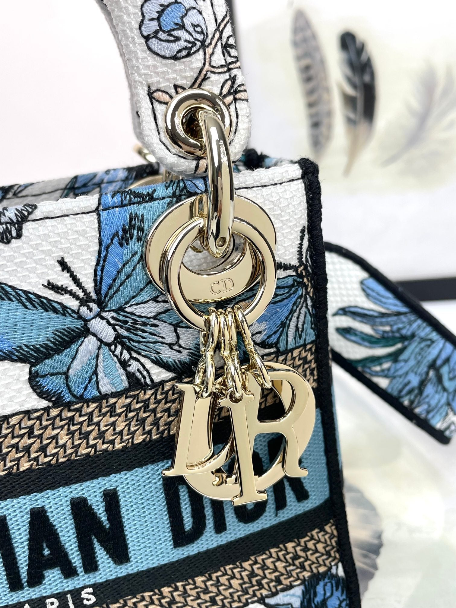 Christian Dior Lady D-Lite Bag with Blue Butterfly Motif Embroidery