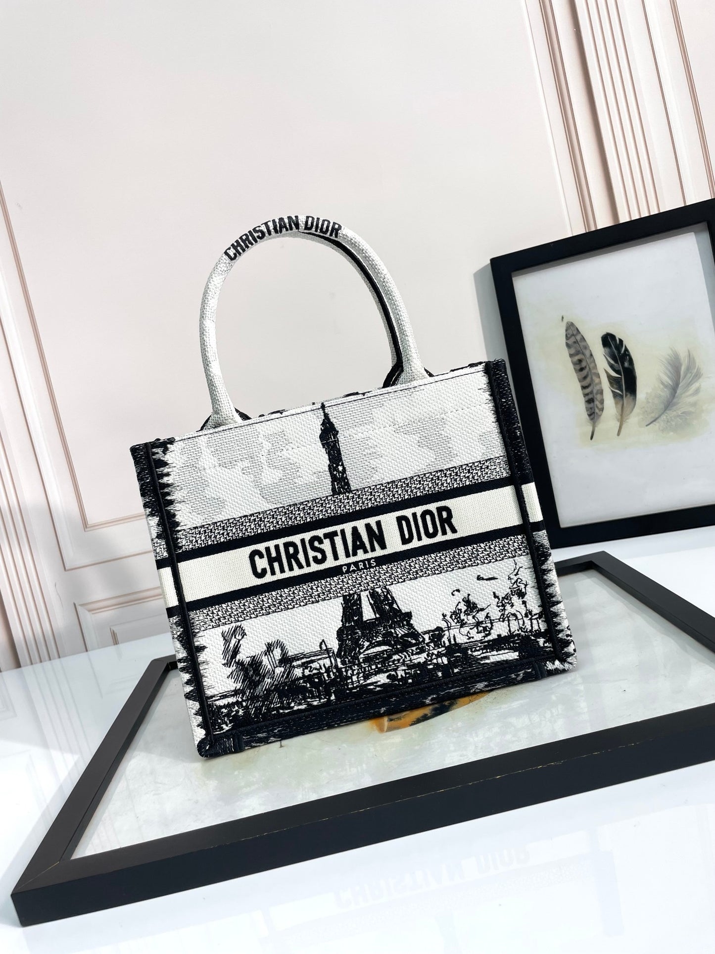 Christian Dior Book Tote Bag - Black and White Paris Cityscape Embroidery