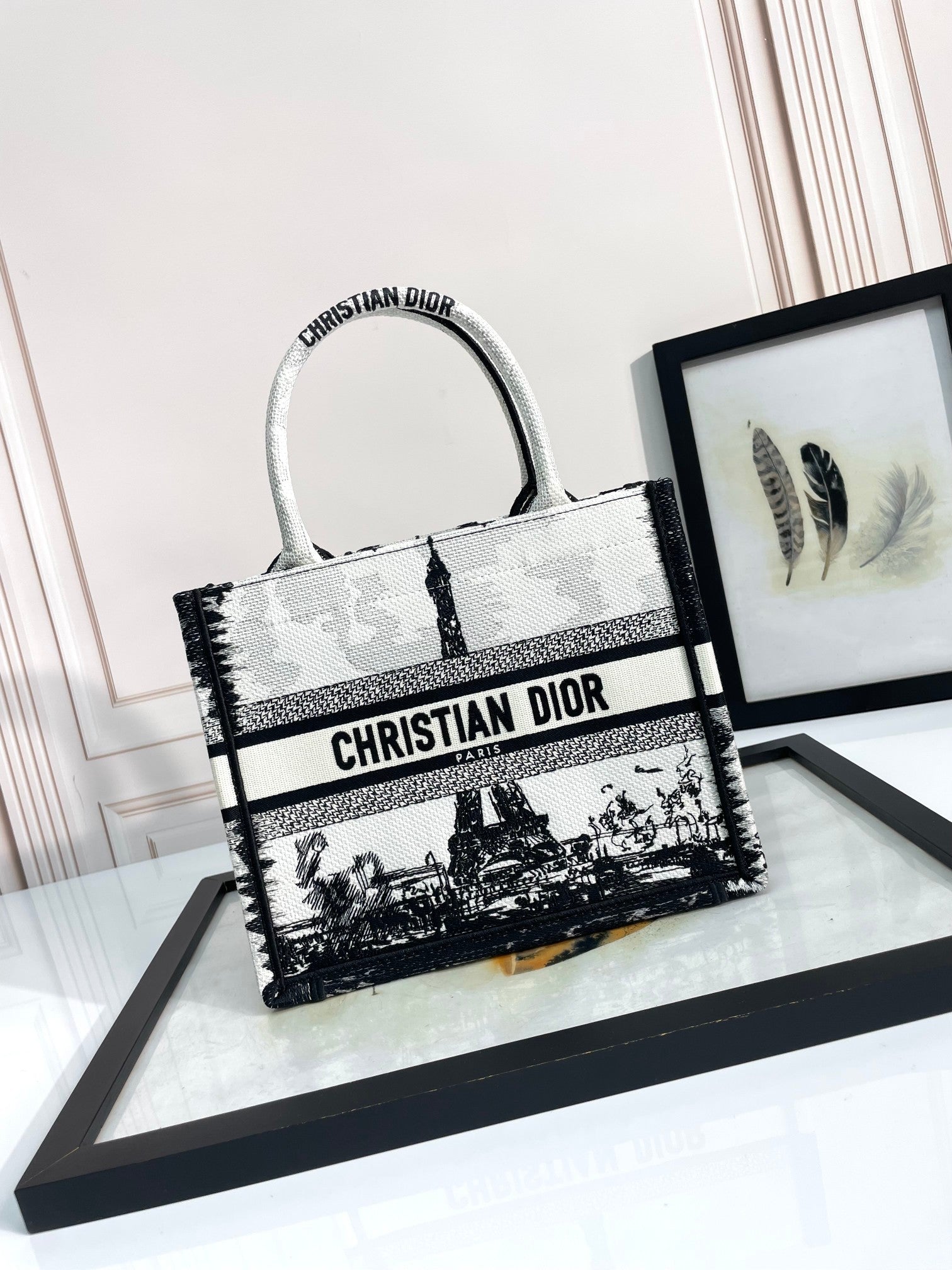 Christian Dior Book Tote Bag - Black and White Paris Cityscape Embroidery