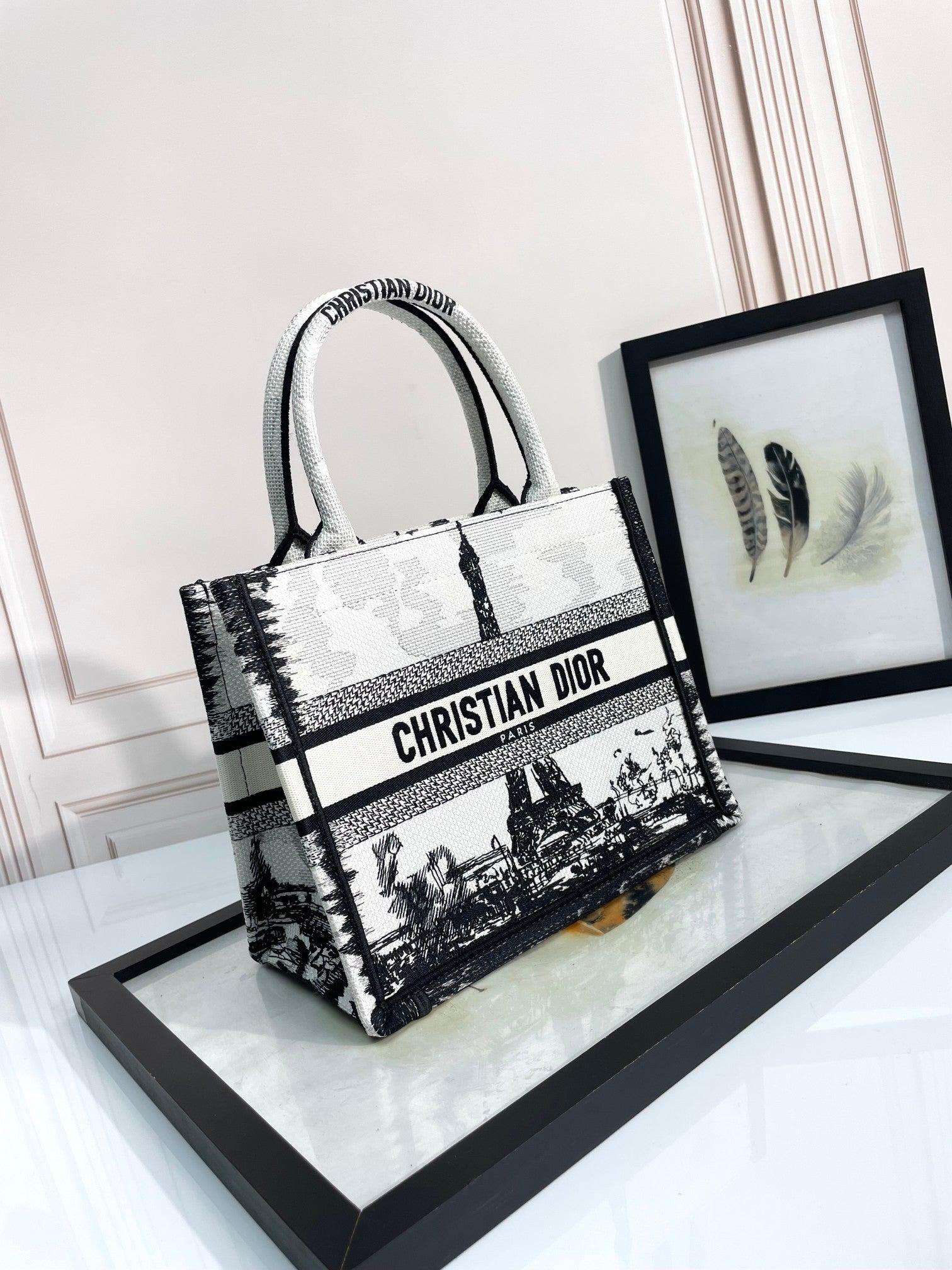 Christian Dior Medium Book Tote Plan de Paris Black and White Embroidered Bag