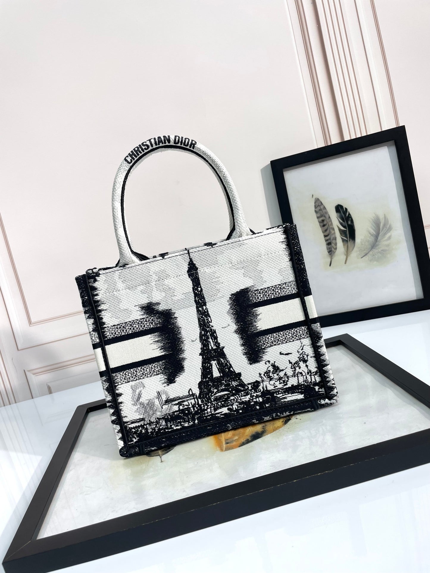 Christian Dior Medium Book Tote Plan de Paris Black and White Embroidered Bag