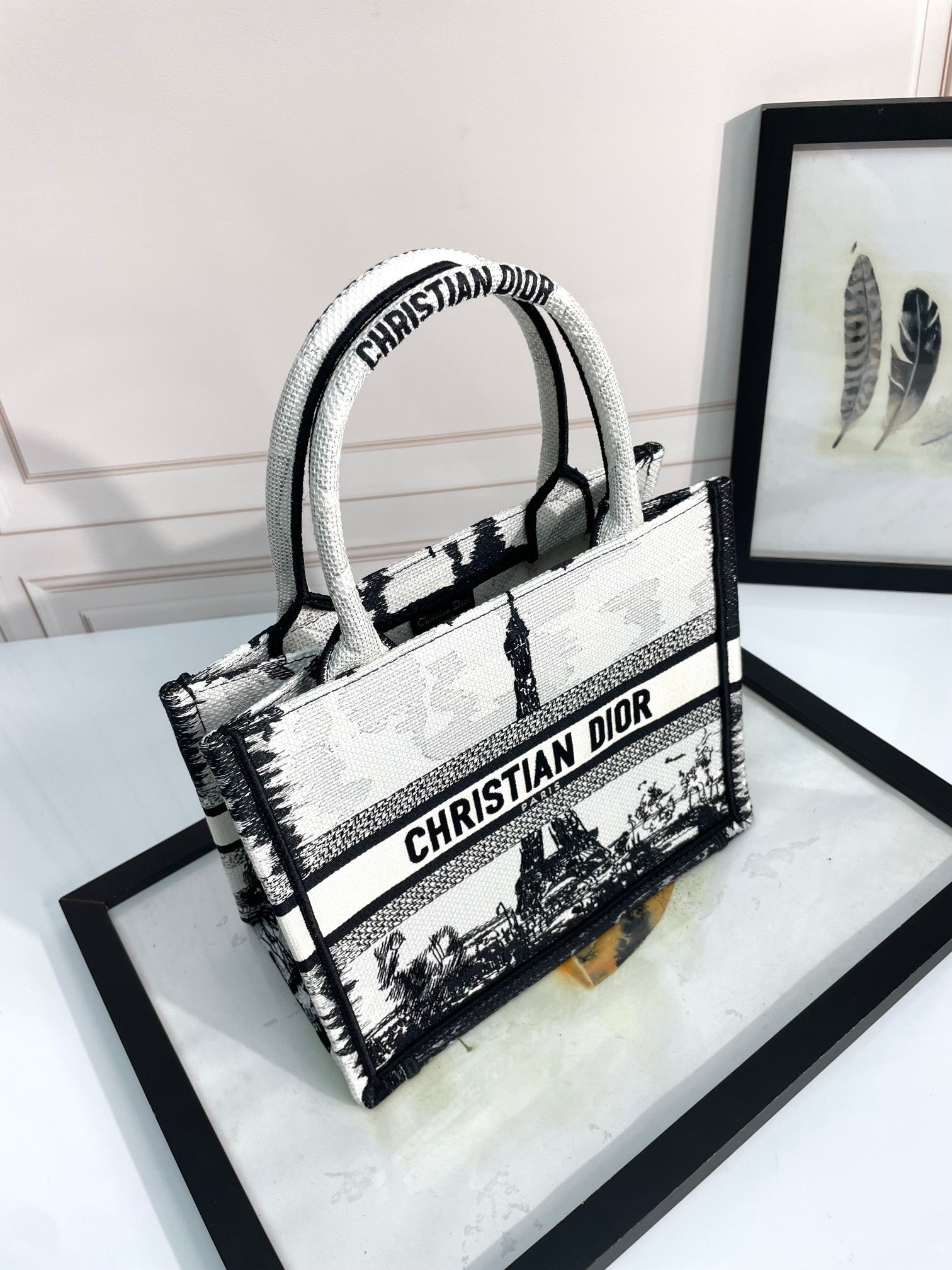 Christian Dior Book Tote Bag - Black and White Paris Cityscape Embroidery