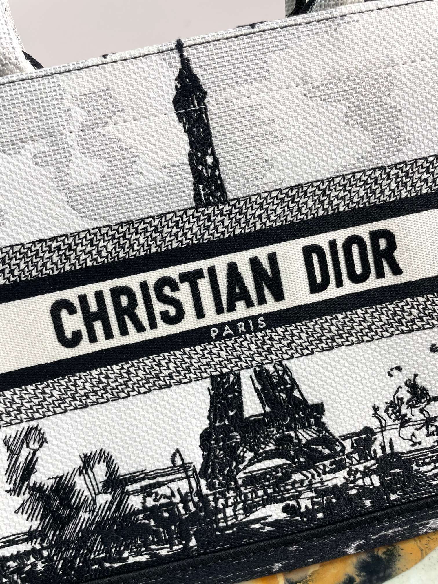 Christian Dior Medium Book Tote Plan de Paris Black and White Embroidered Bag