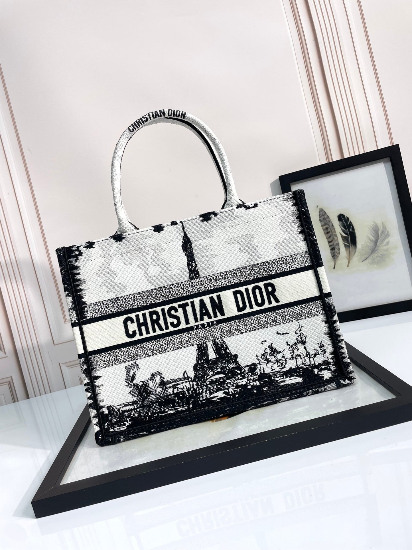Christian Dior Book Tote Eiffel Tower Print - Large Embroidered Canvas Handbag