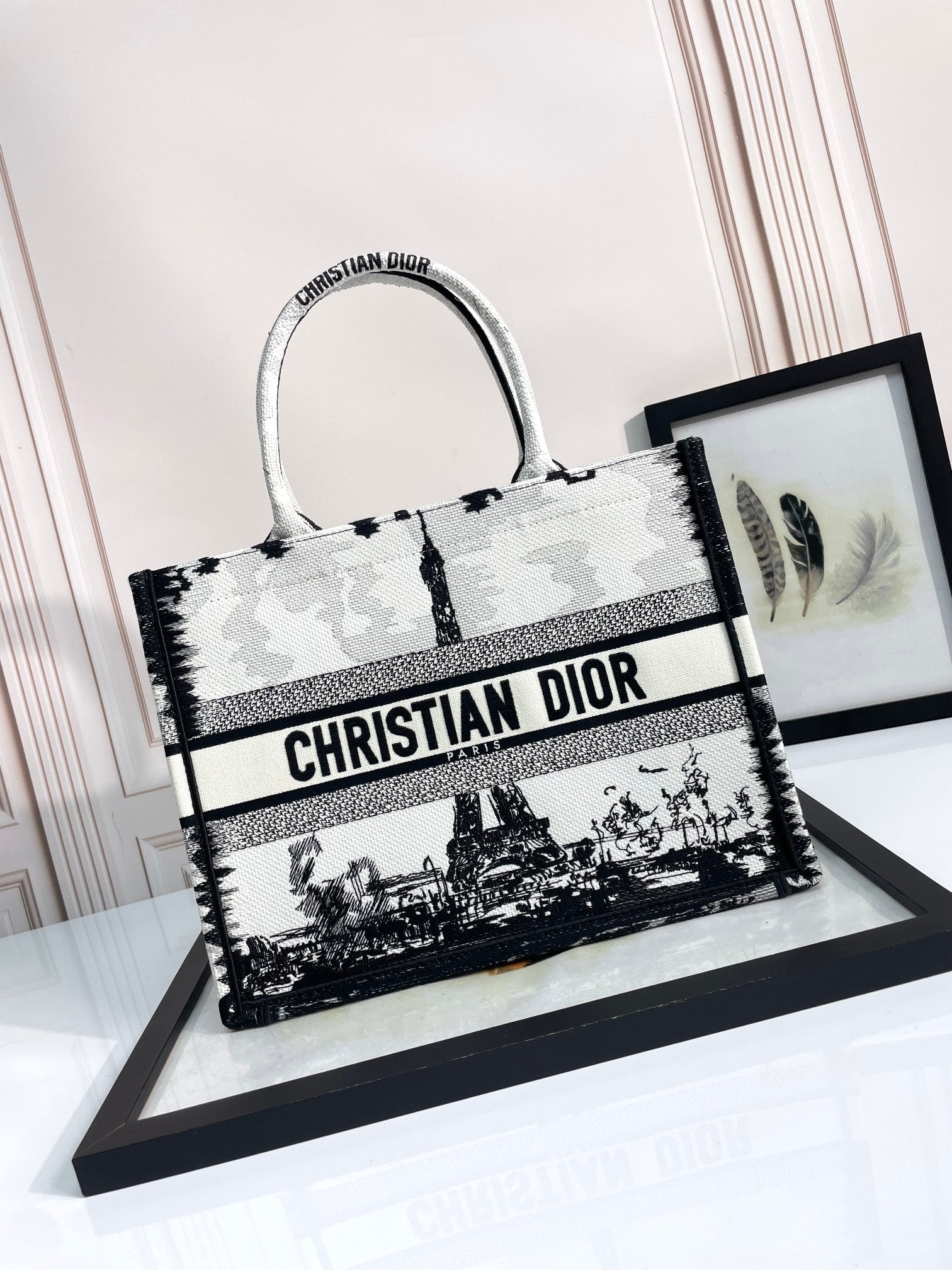 Christian Dior Book Tote Eiffel Tower Print - Large Embroidered Canvas Handbag