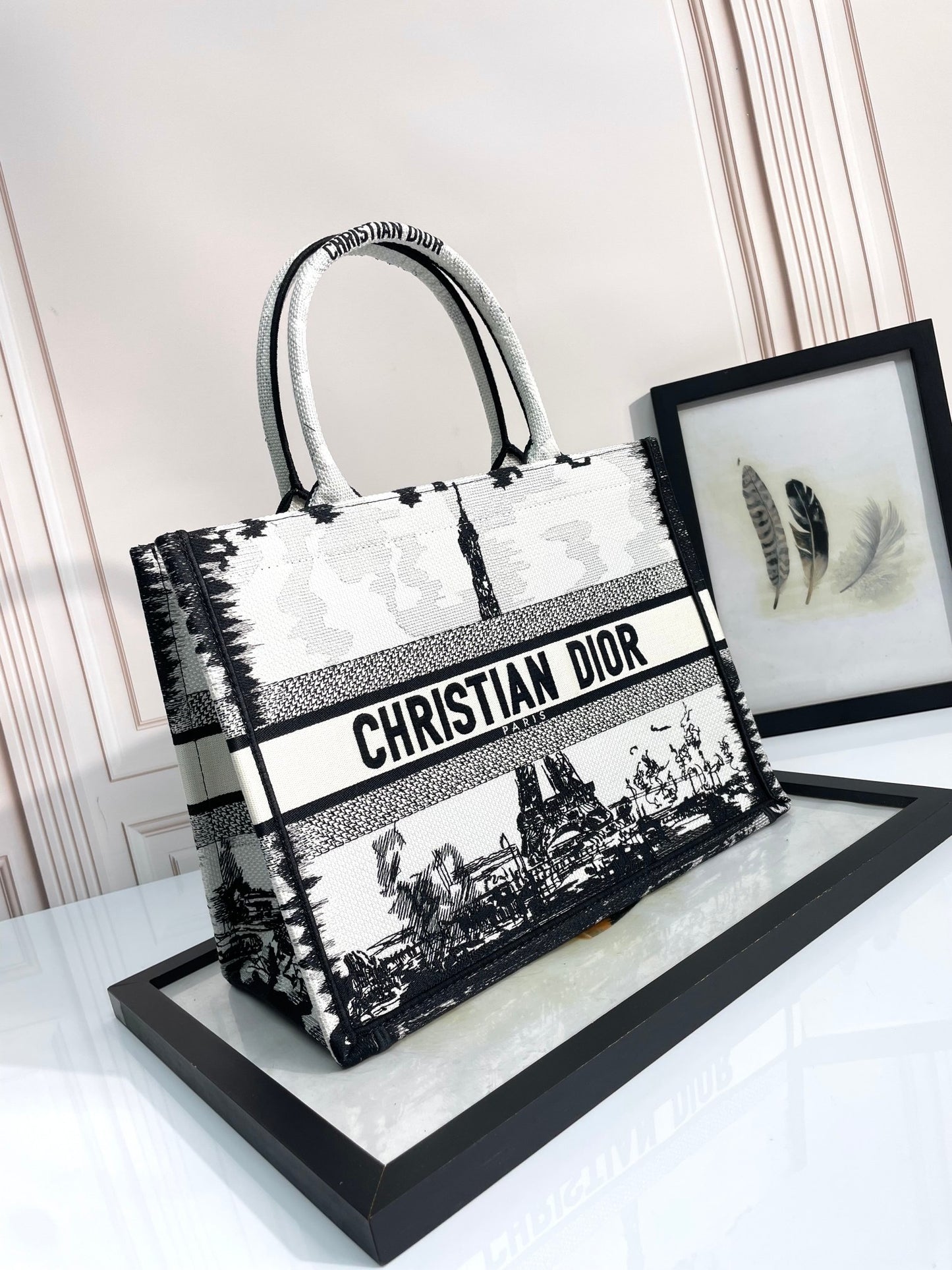 Christian Dior Book Tote Eiffel Tower Print - Large Embroidered Canvas Handbag
