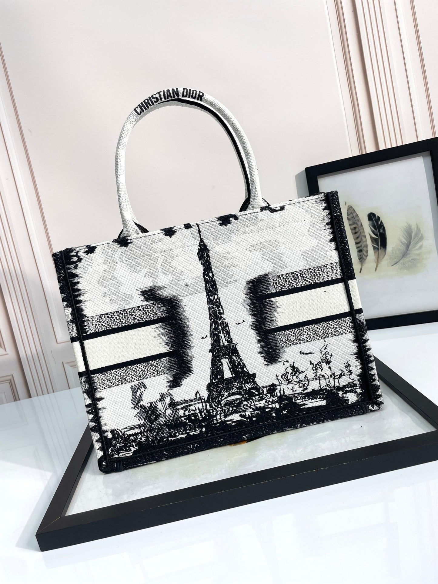 Christian Dior Book Tote Eiffel Tower Print - Large Embroidered Canvas Handbag
