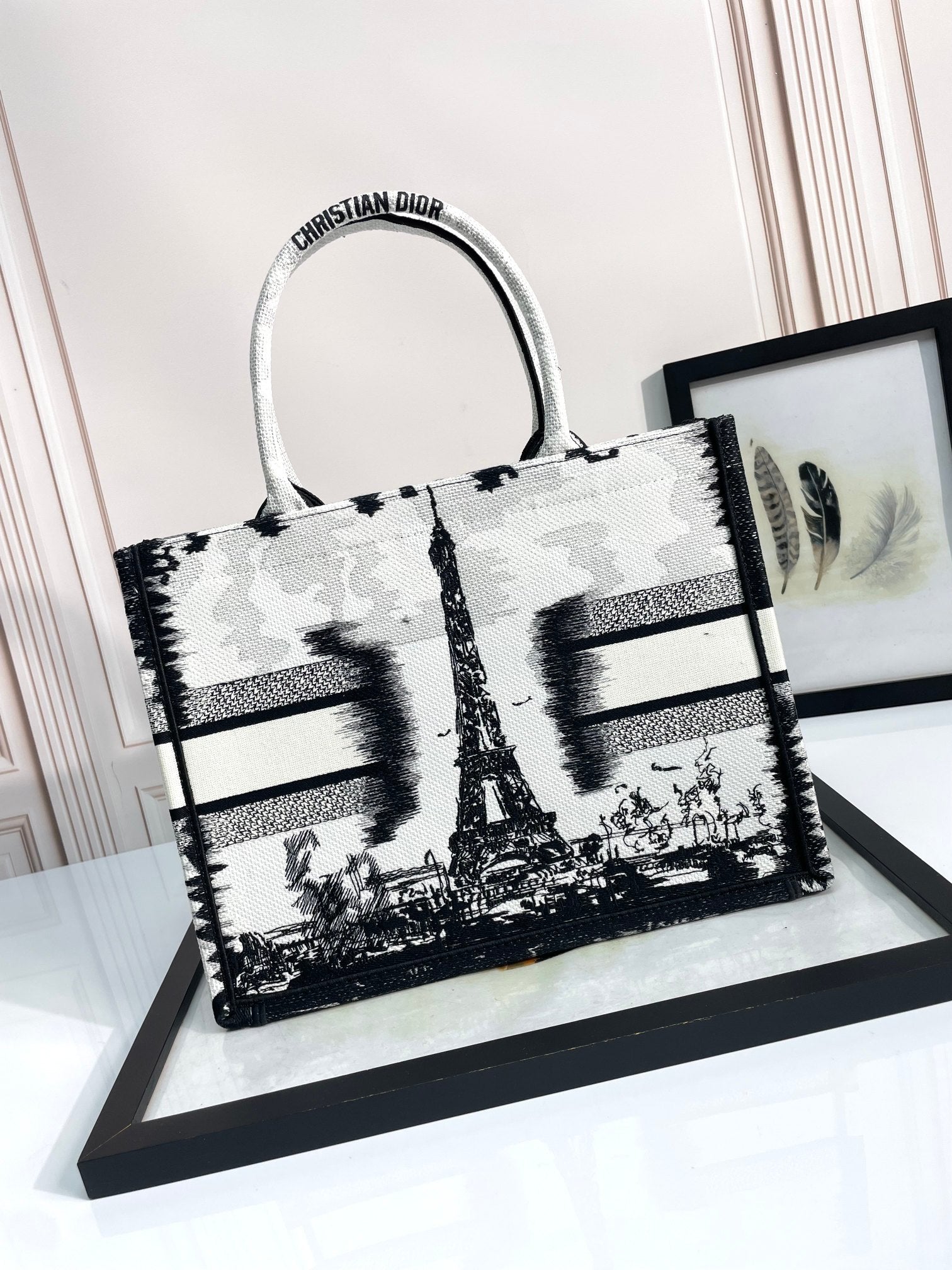 Christian Dior Book Tote Paris Eiffel Tower Black and White Canvas Handbag