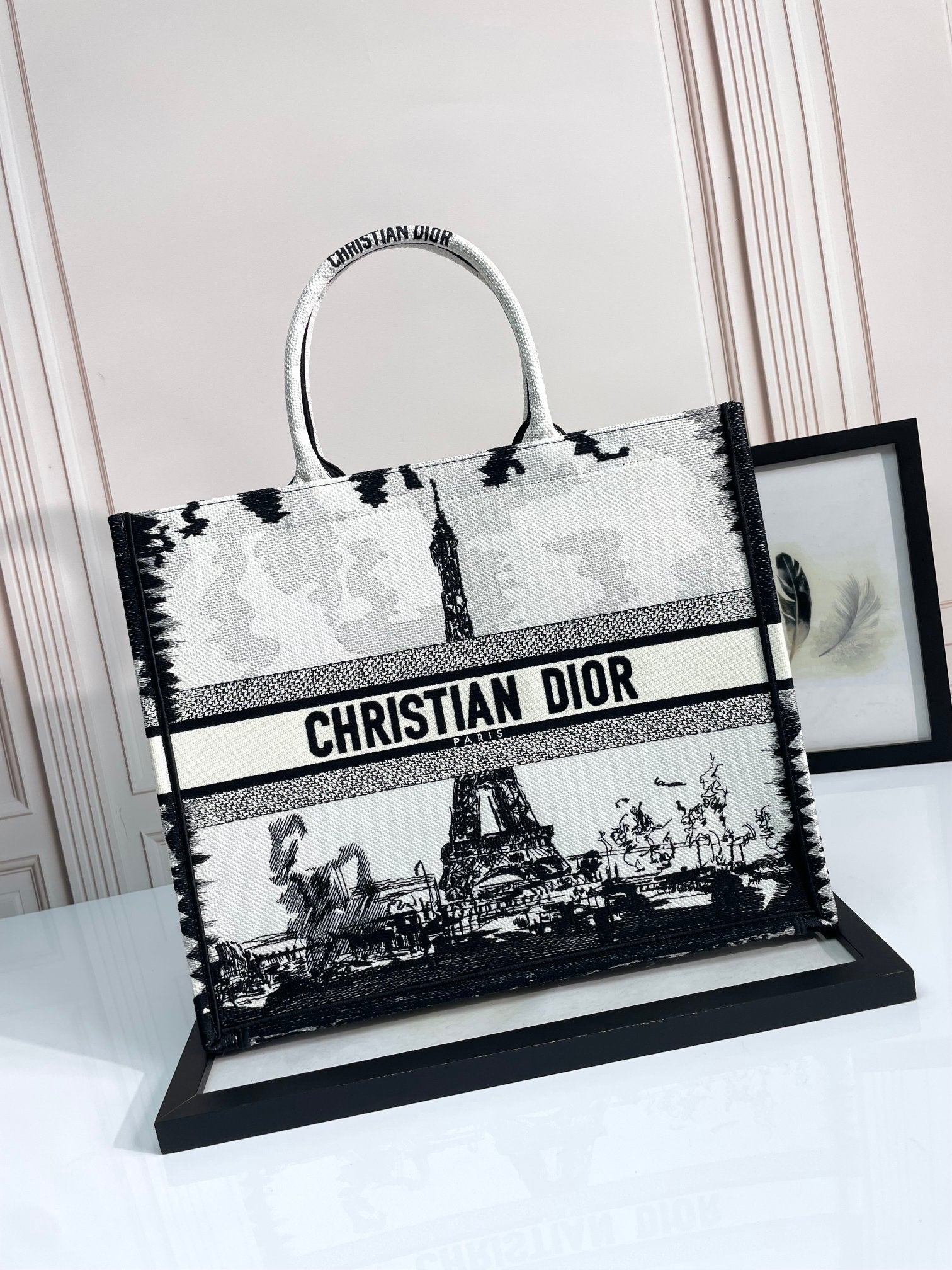 Christian Dior Medium Book Tote Bag - White and Black Plan de Paris Embroidery