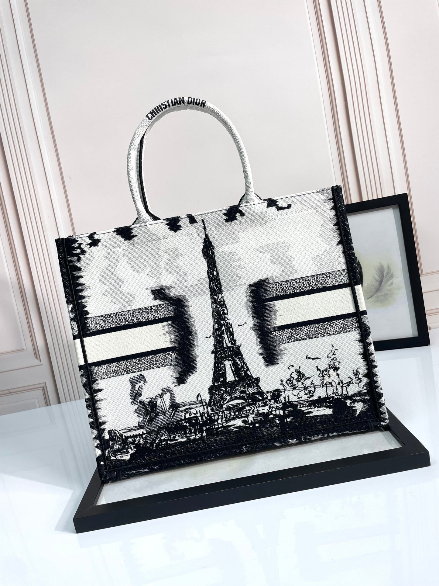 Christian Dior Large Book Tote - Black and White Plan de Paris Embroidery with Eiffel Tower