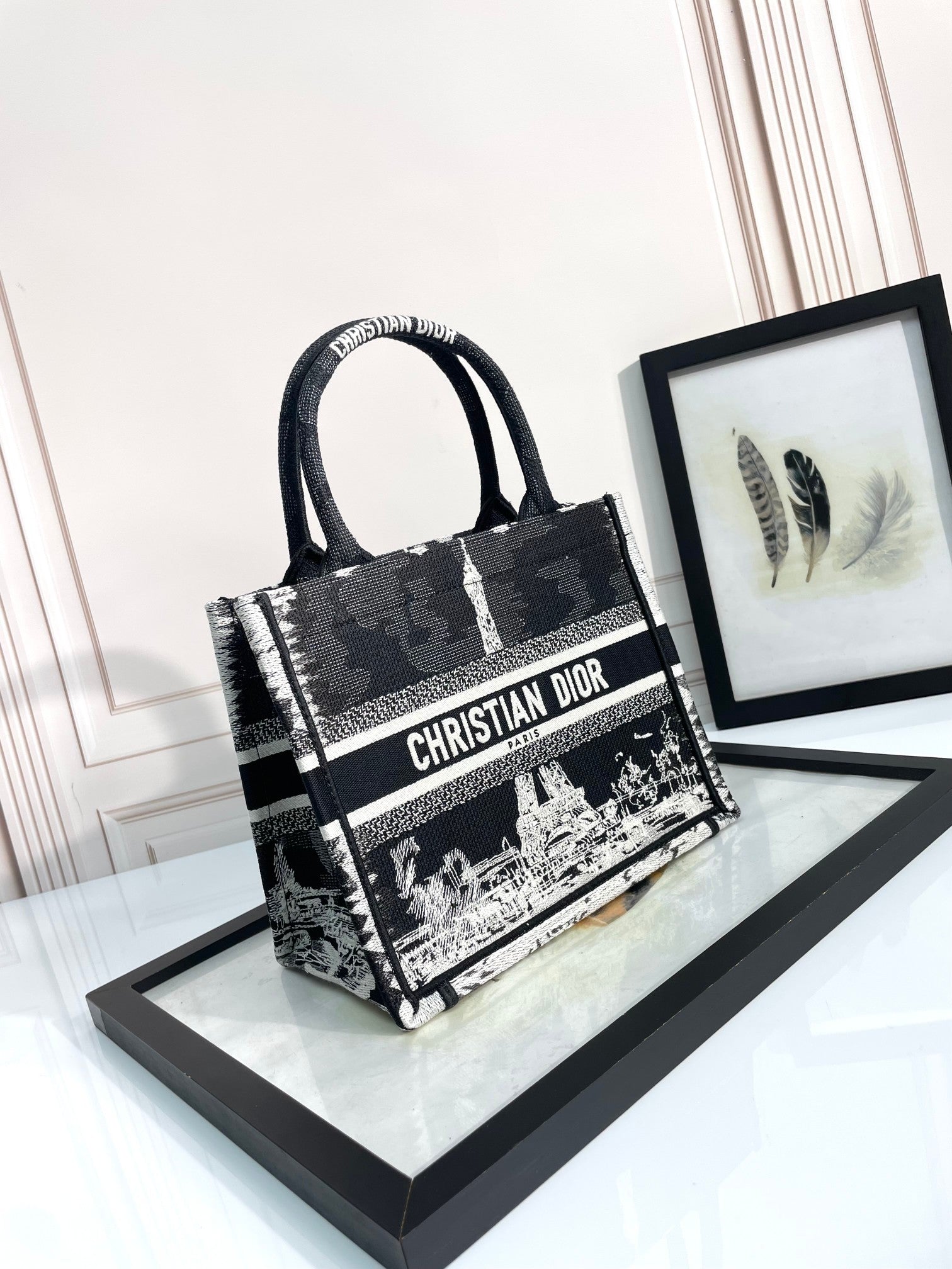 Christian Dior Medium Book Tote - Black and White Plan de Paris Embroidery Canvas Handbag