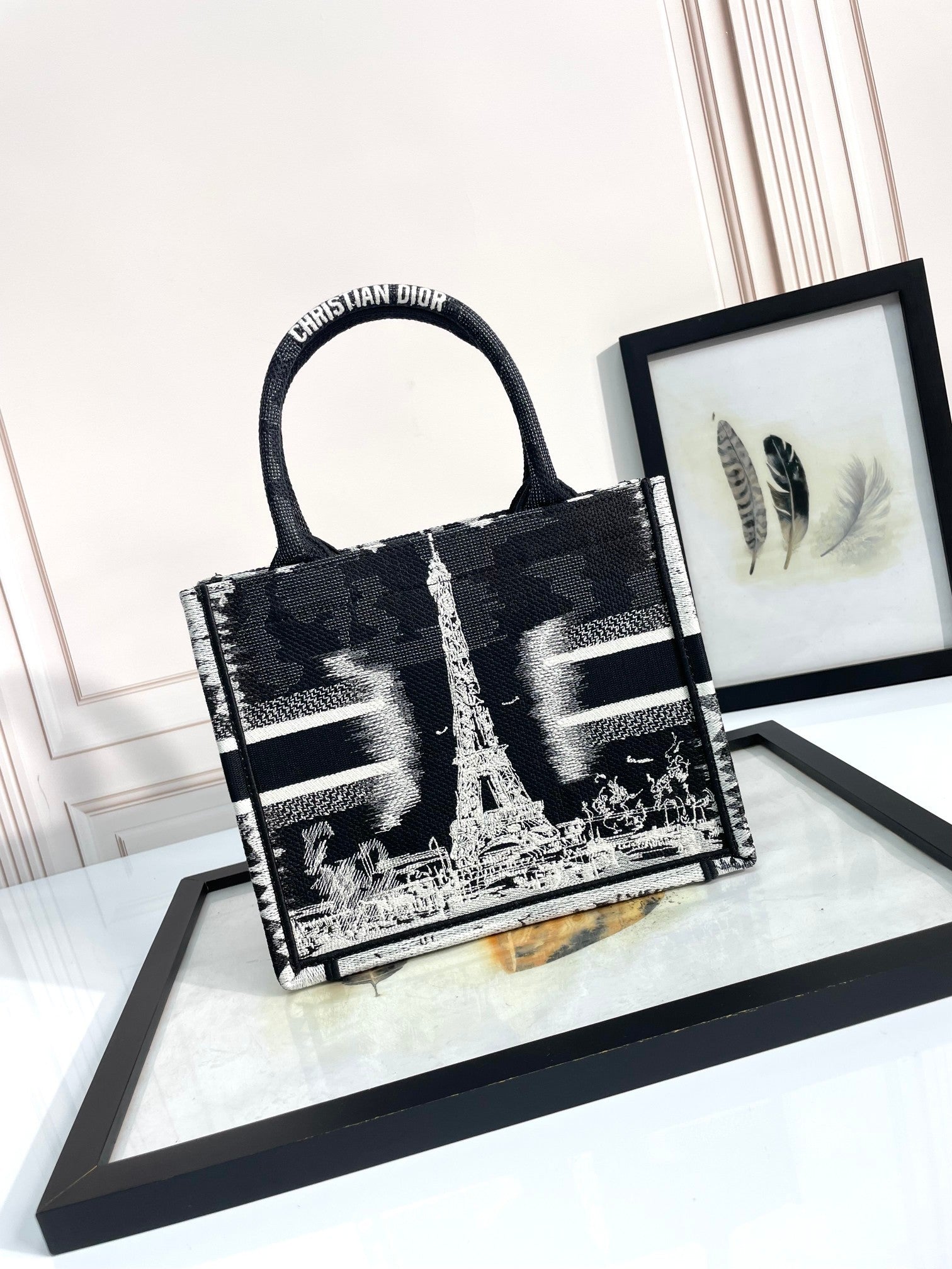 Christian Dior Book Tote Bag Black and White Paris Print Canvas