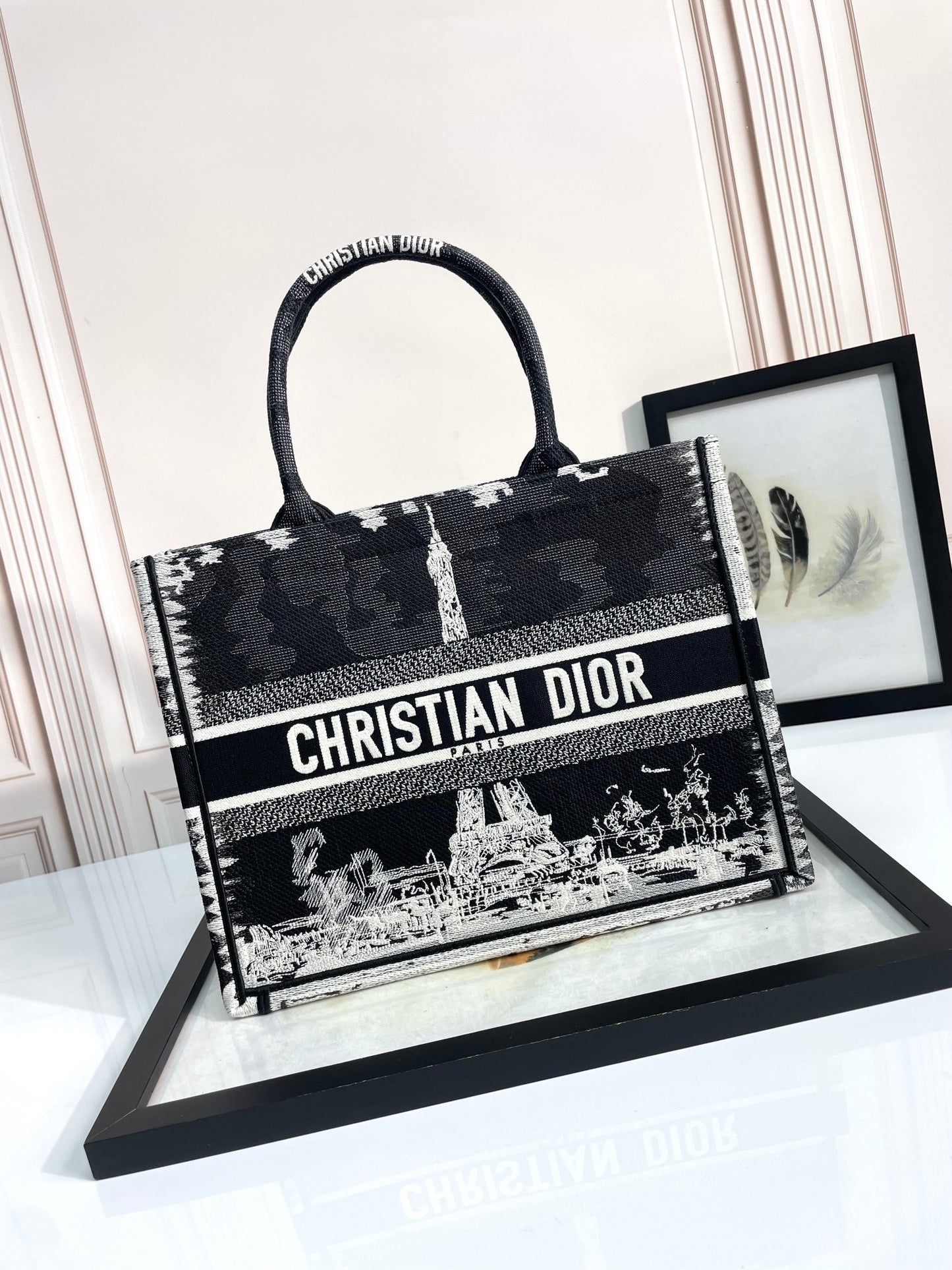 Christian Dior Medium Book Tote Plan de Paris Embroidery Bag